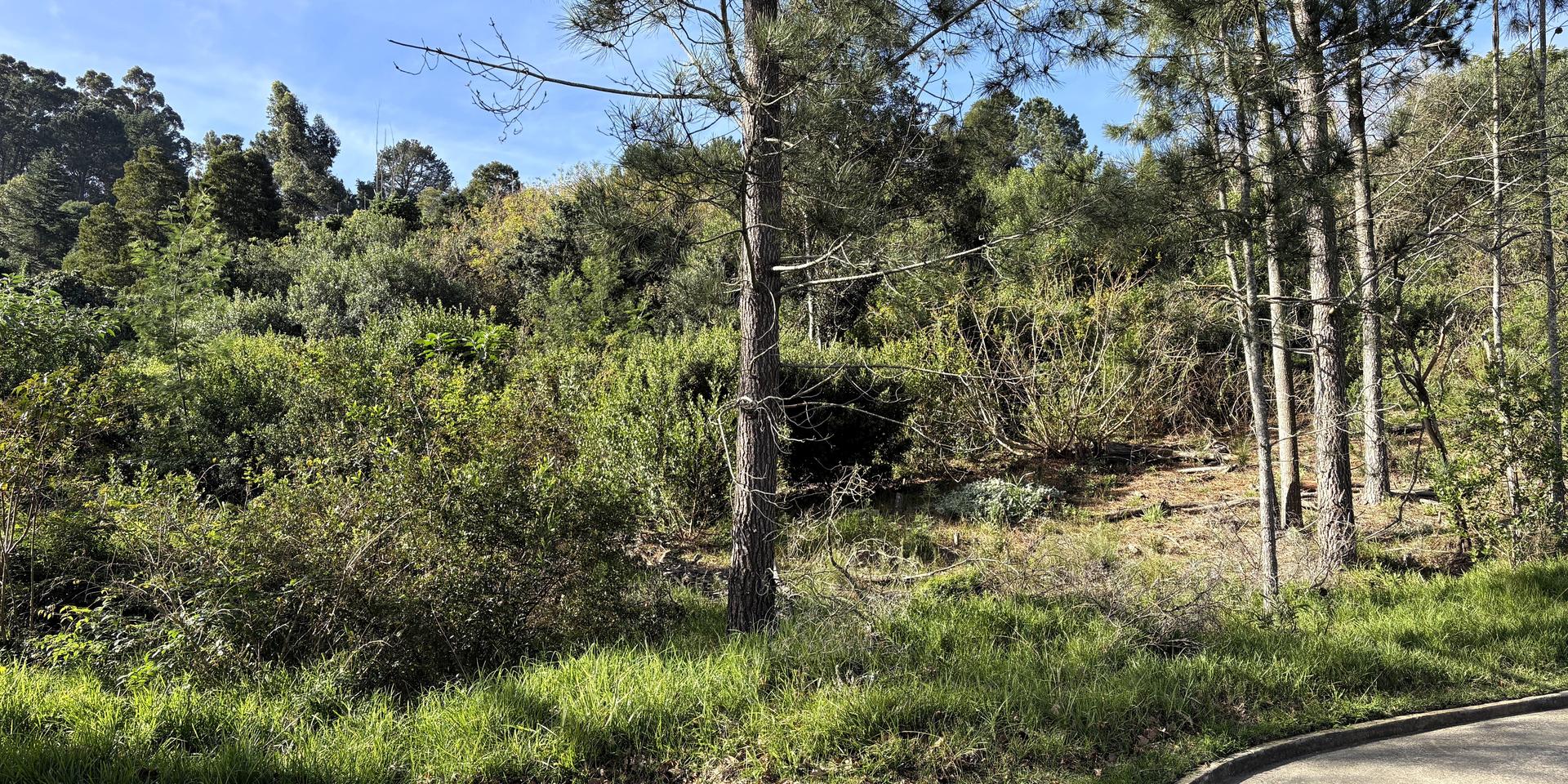 Image 4 of 6