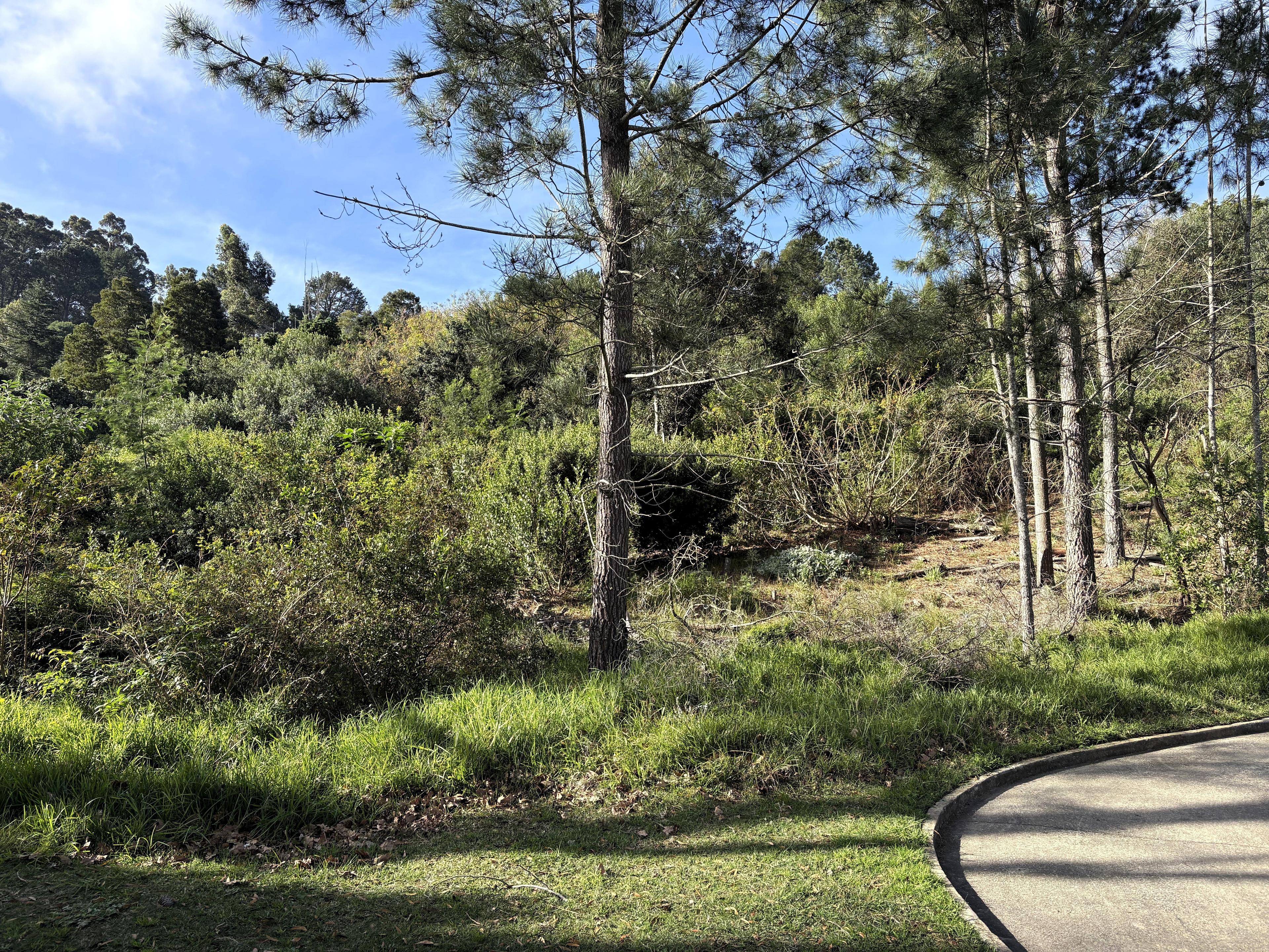 Image 4 of 6