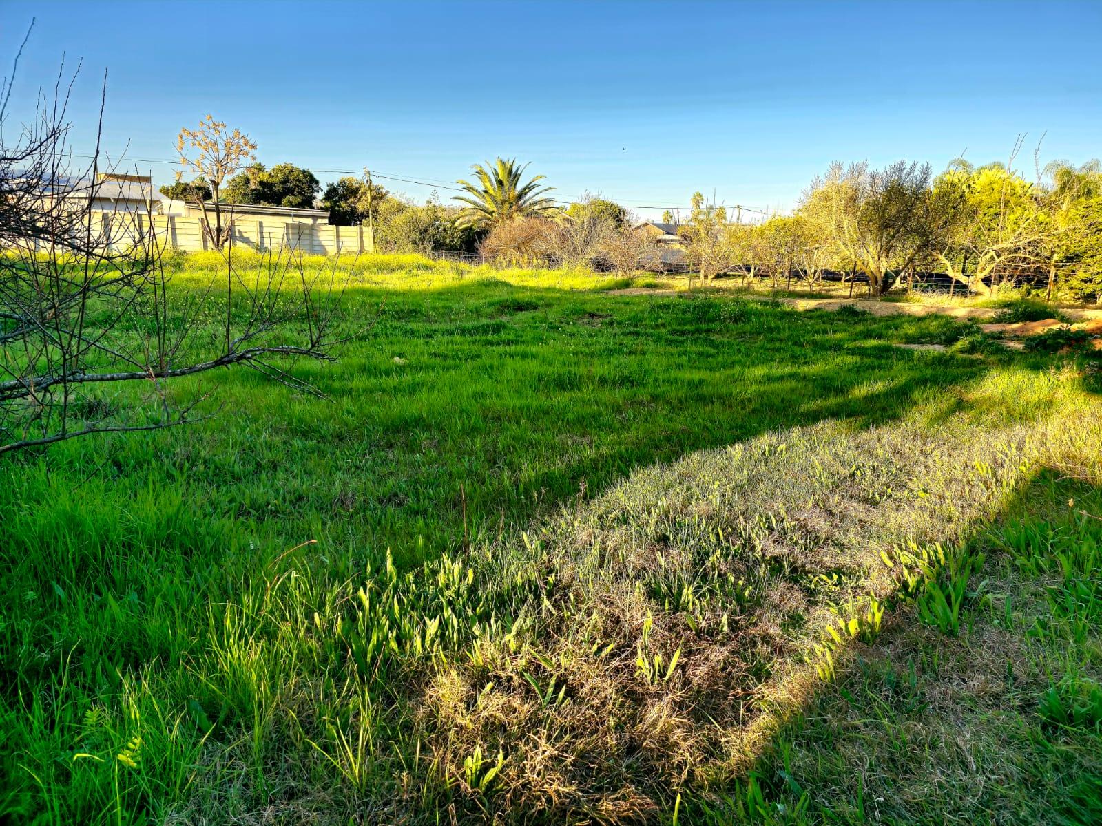 Image 4 of 6