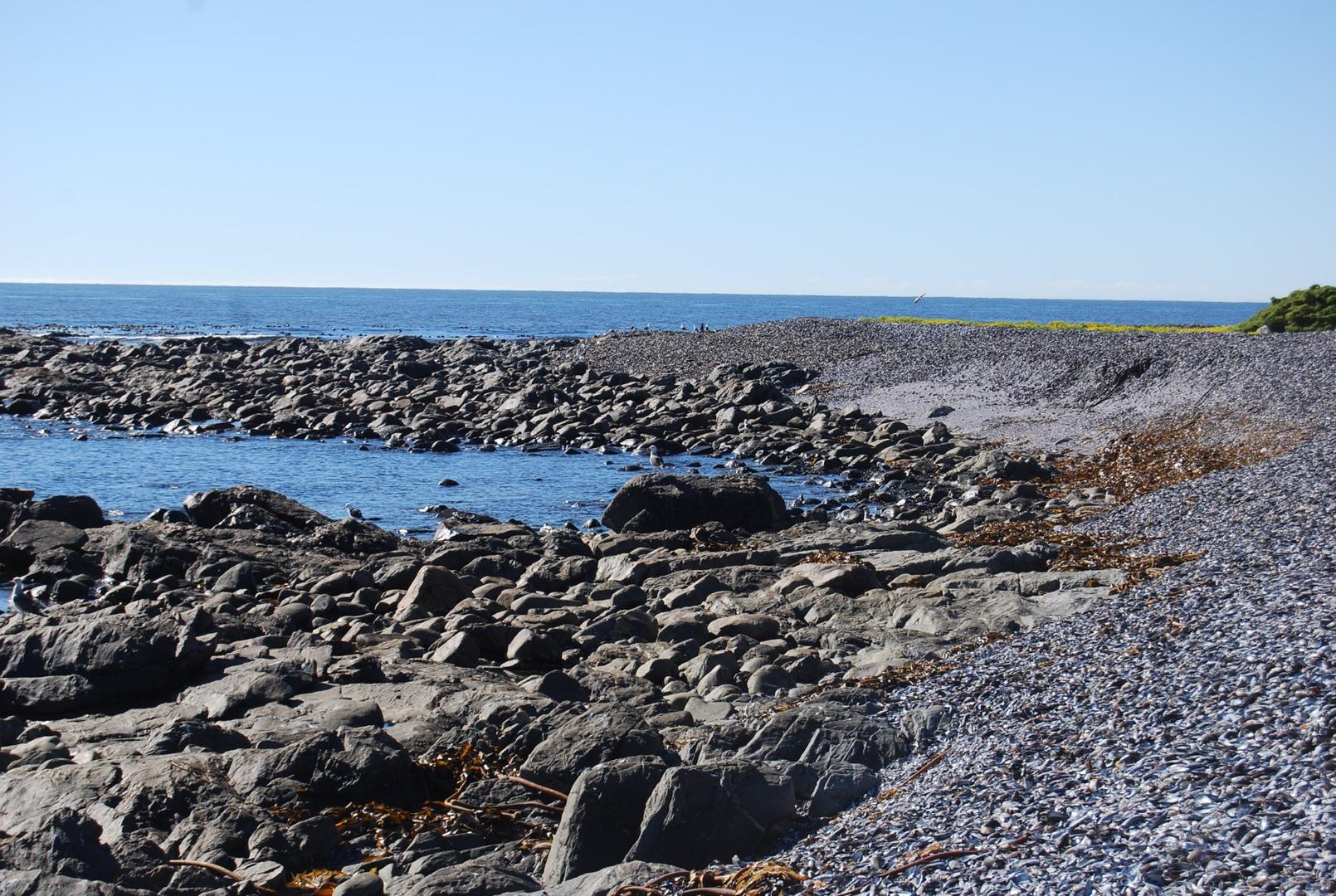 Image 15