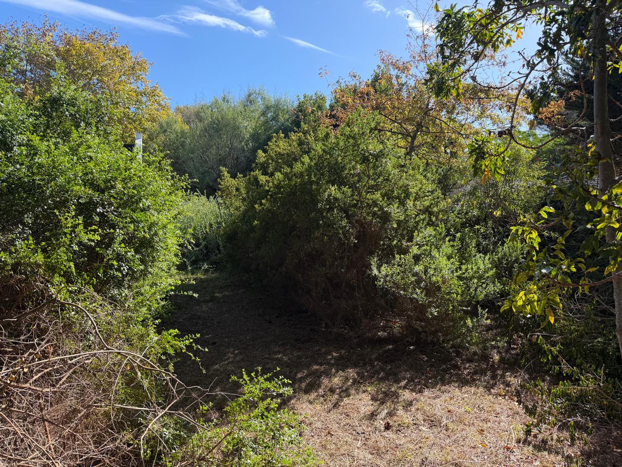 Image 5 of 6