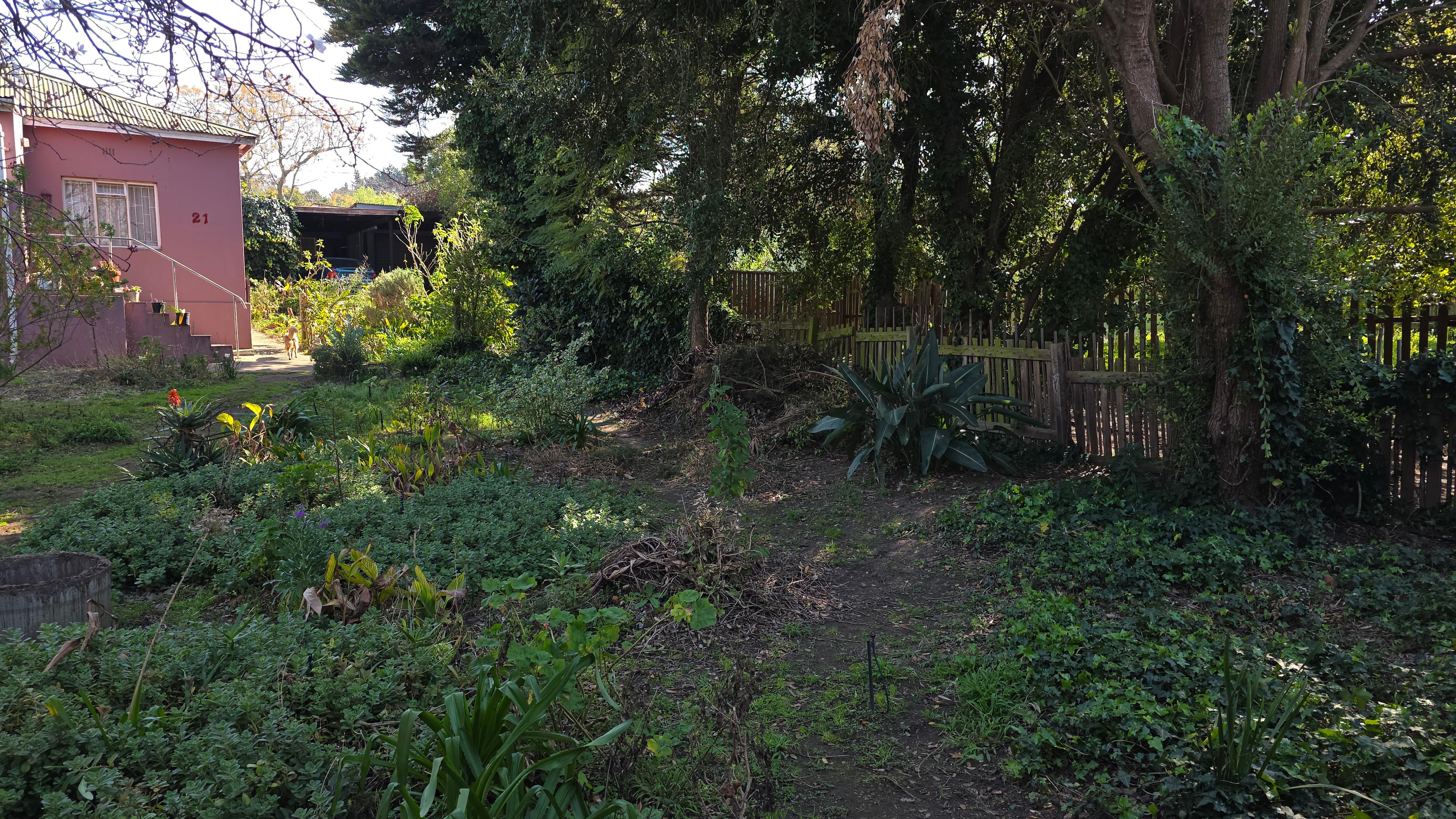 Image 14