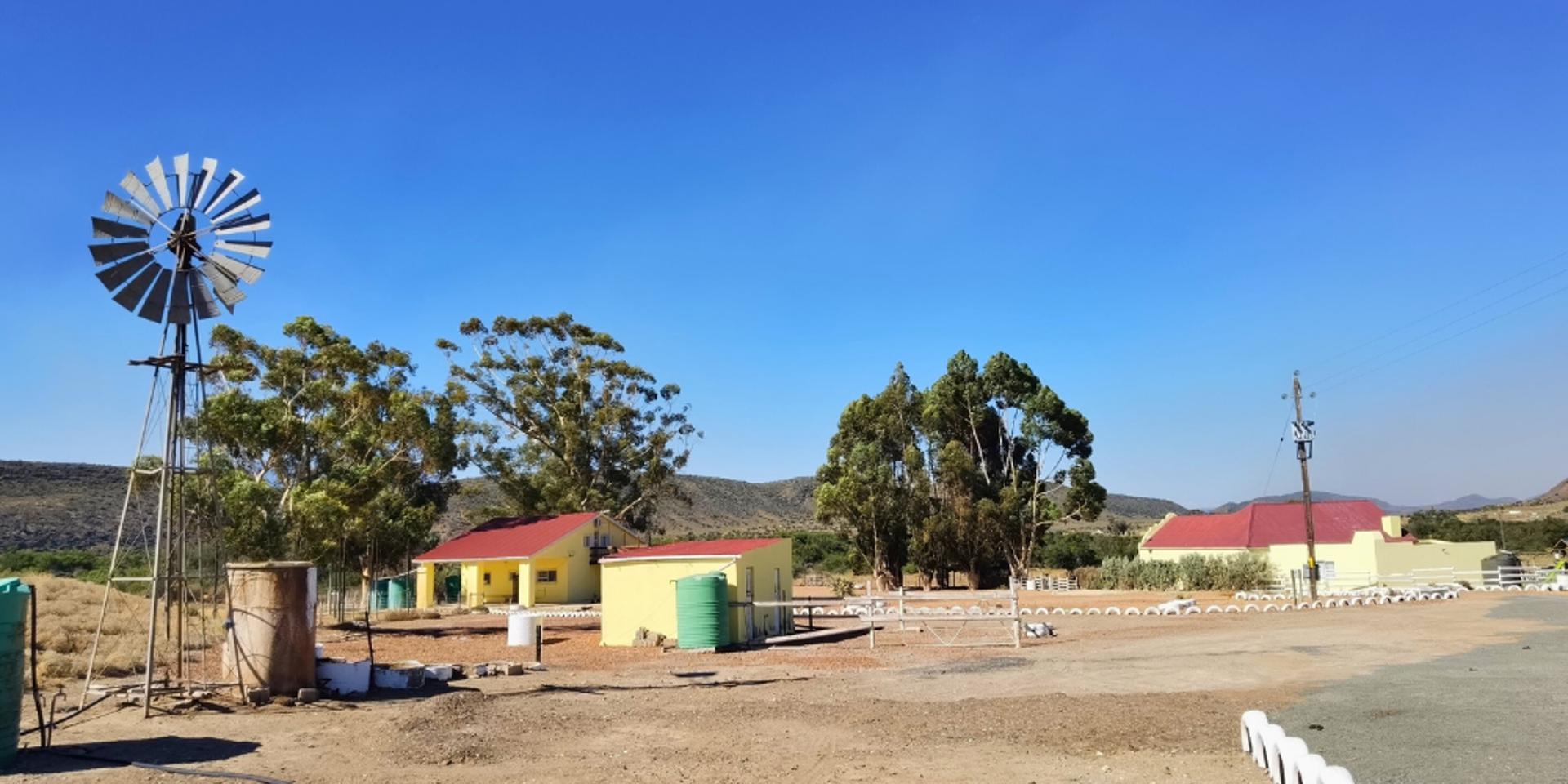 Image 4 of 6