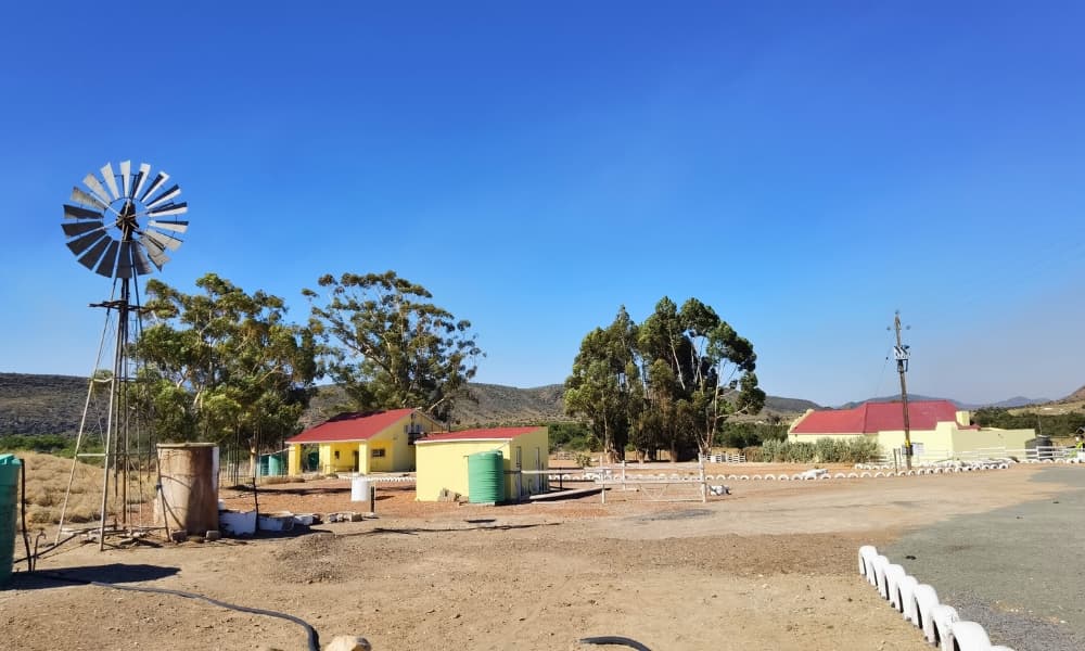 Image 4 of 6