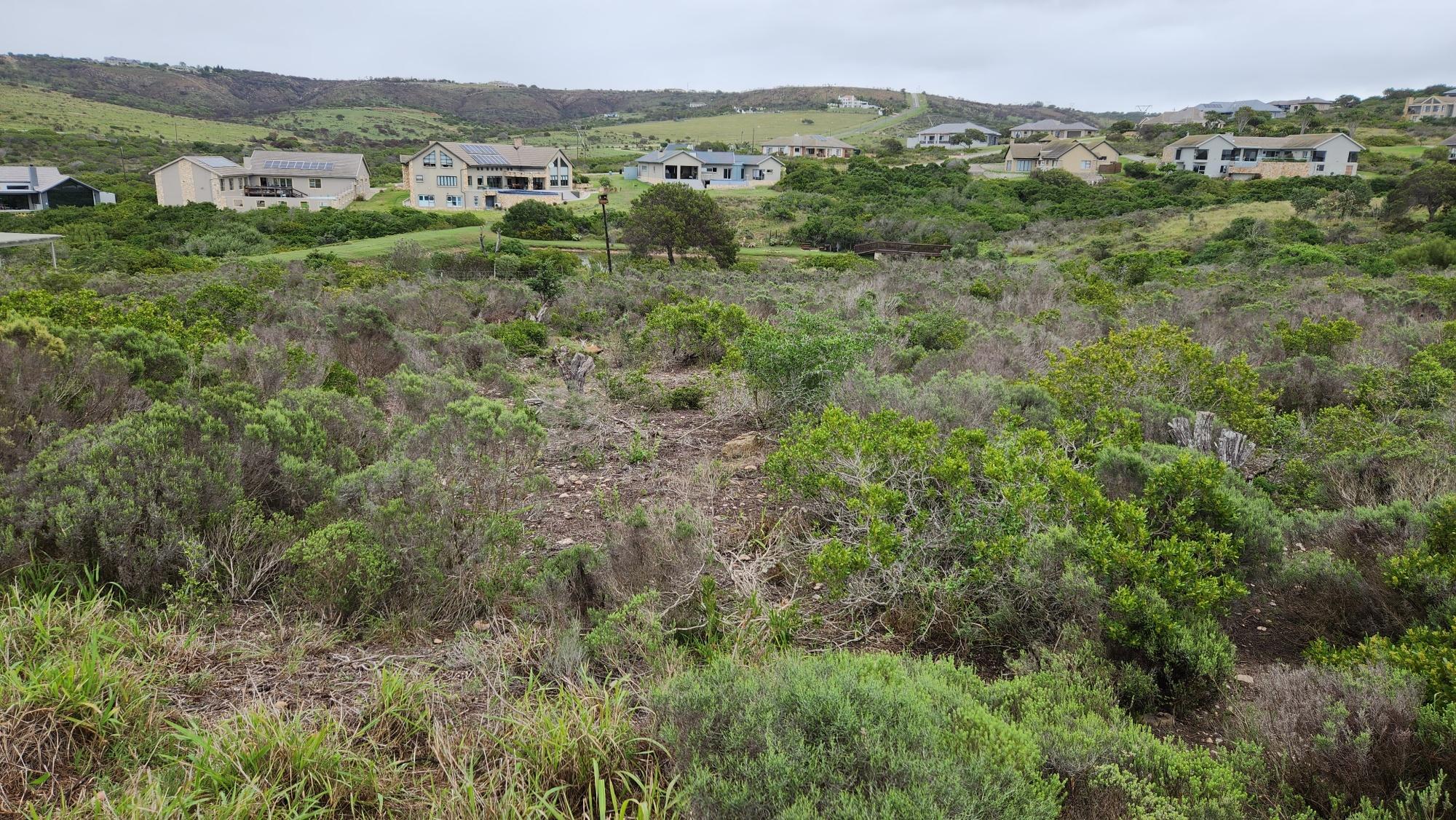 Image 5 of 6