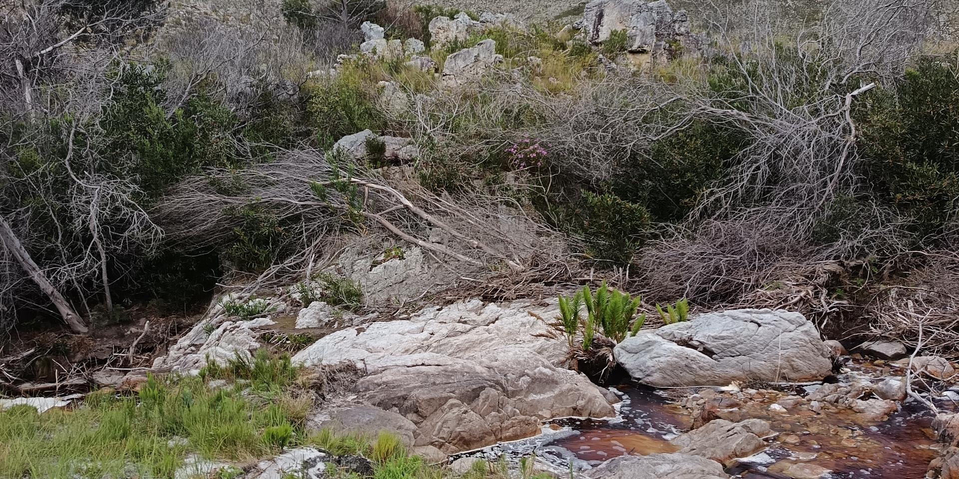 Image 5 of 6