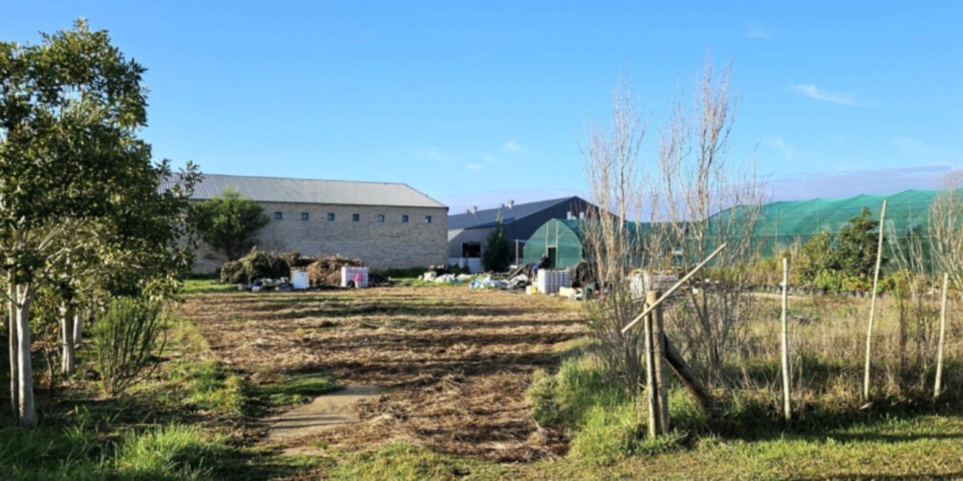 Image 2 of 6