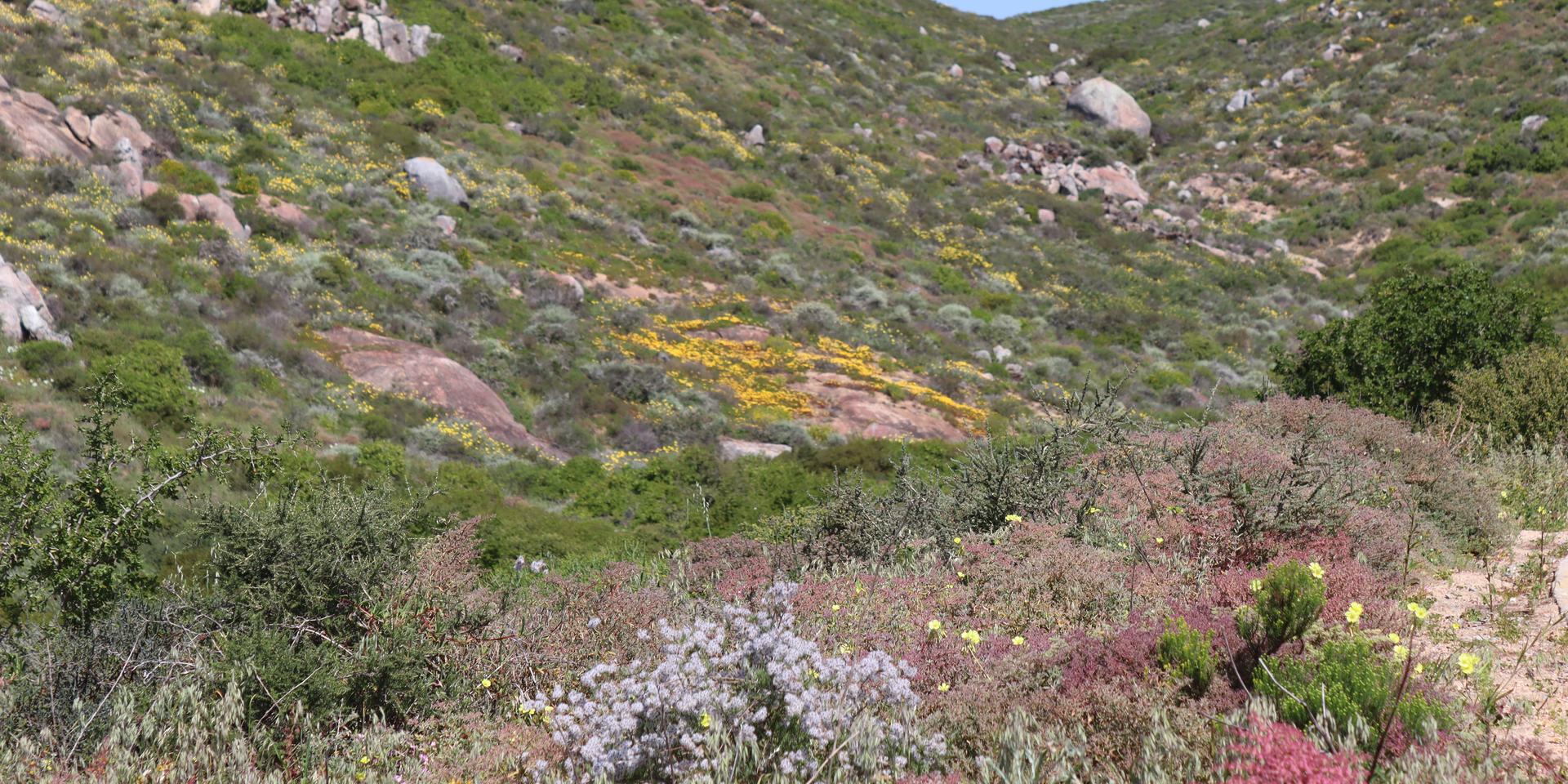 Image 4 of 6