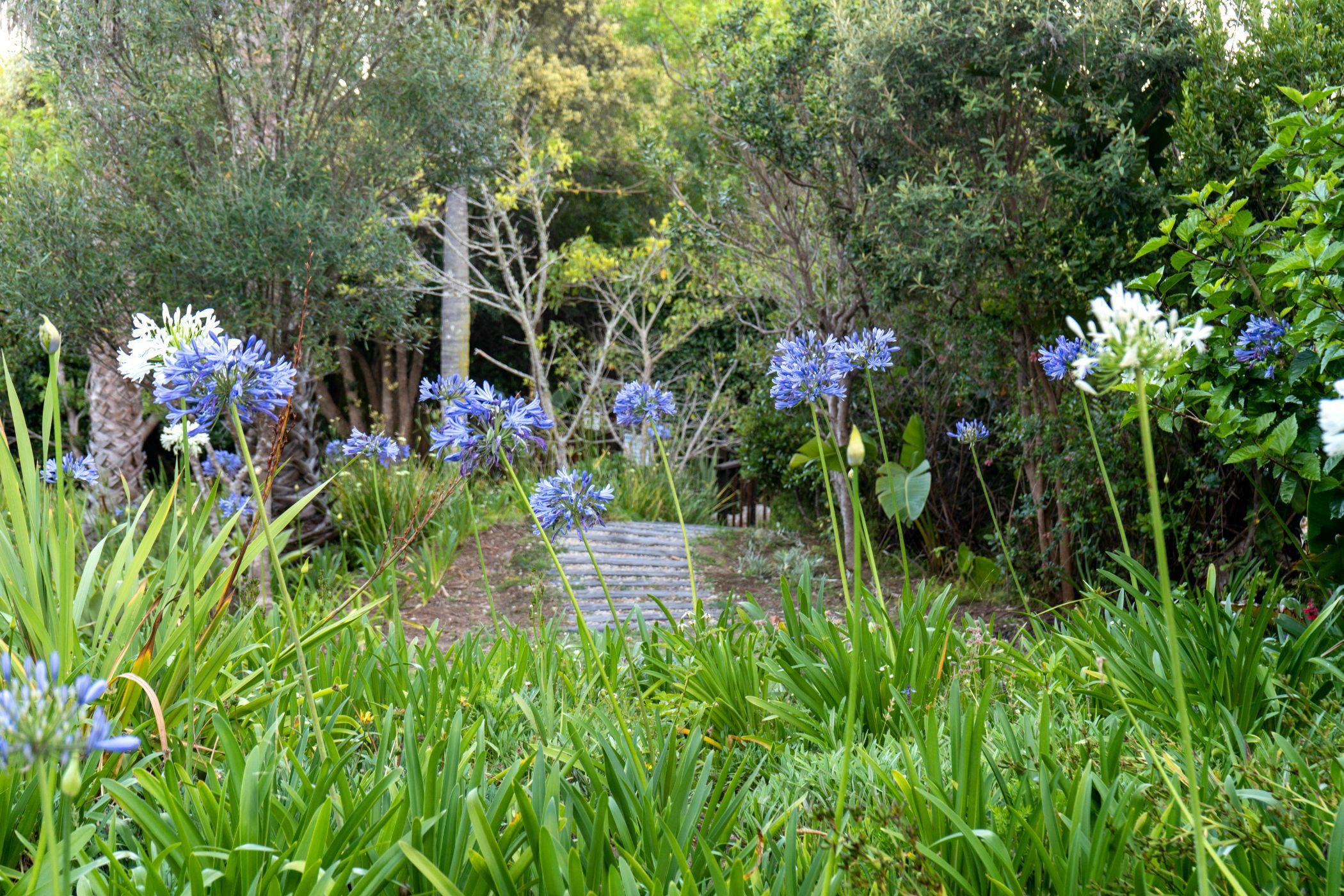 Image 24