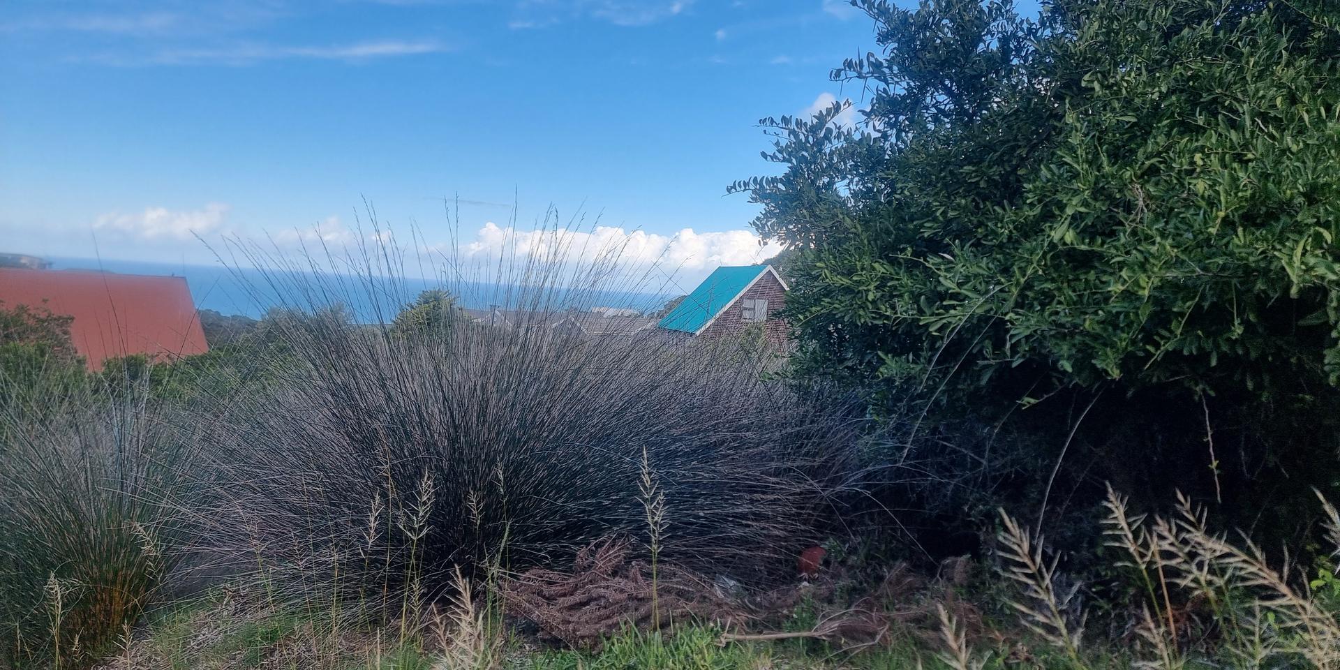 Image 5 of 6