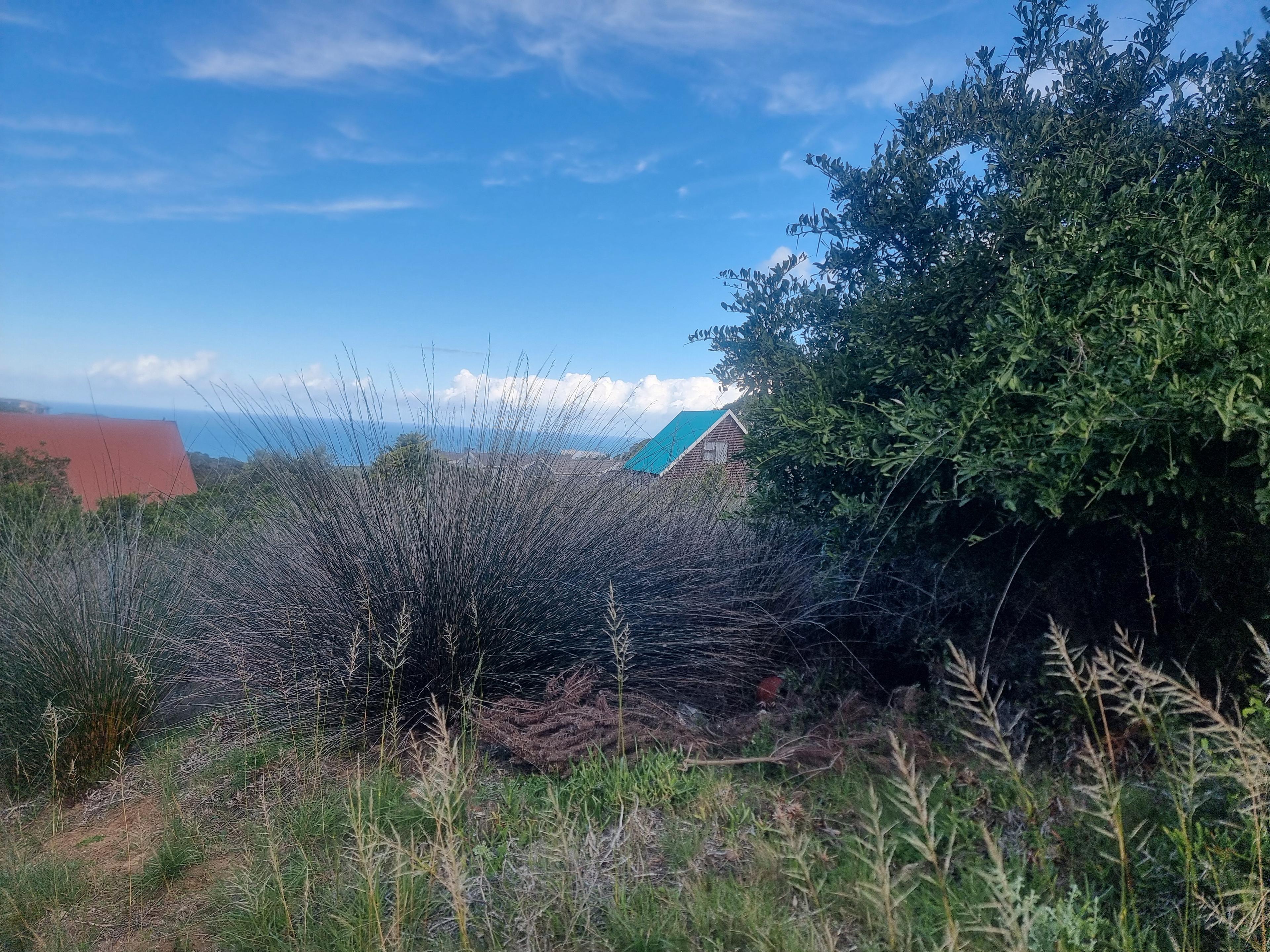 Image 5 of 6