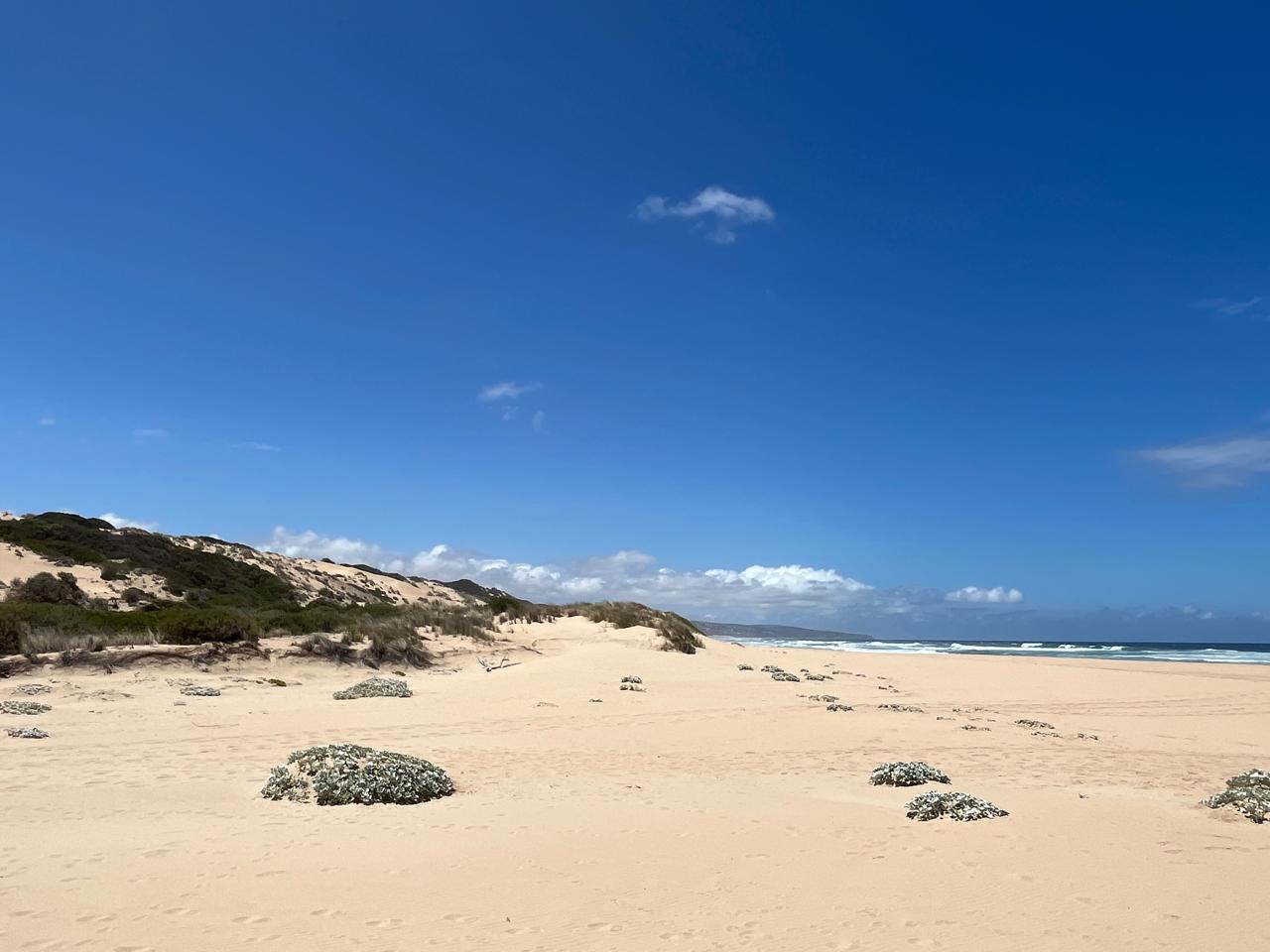 Image 18