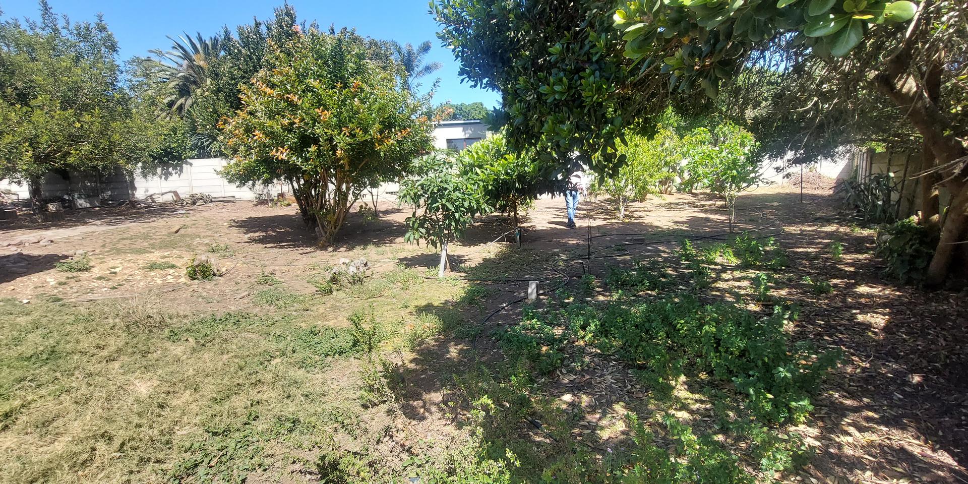 Image 5 of 6