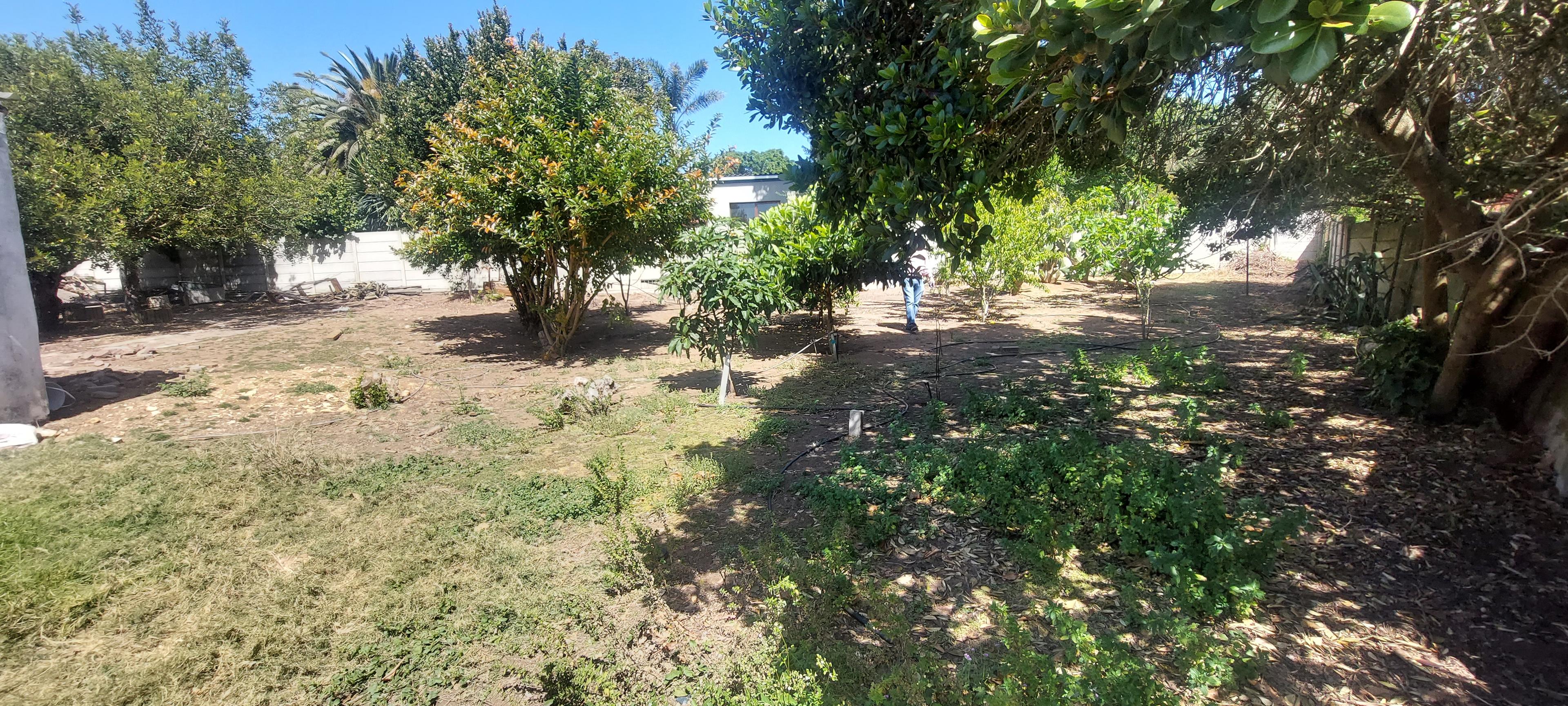 Image 5 of 6