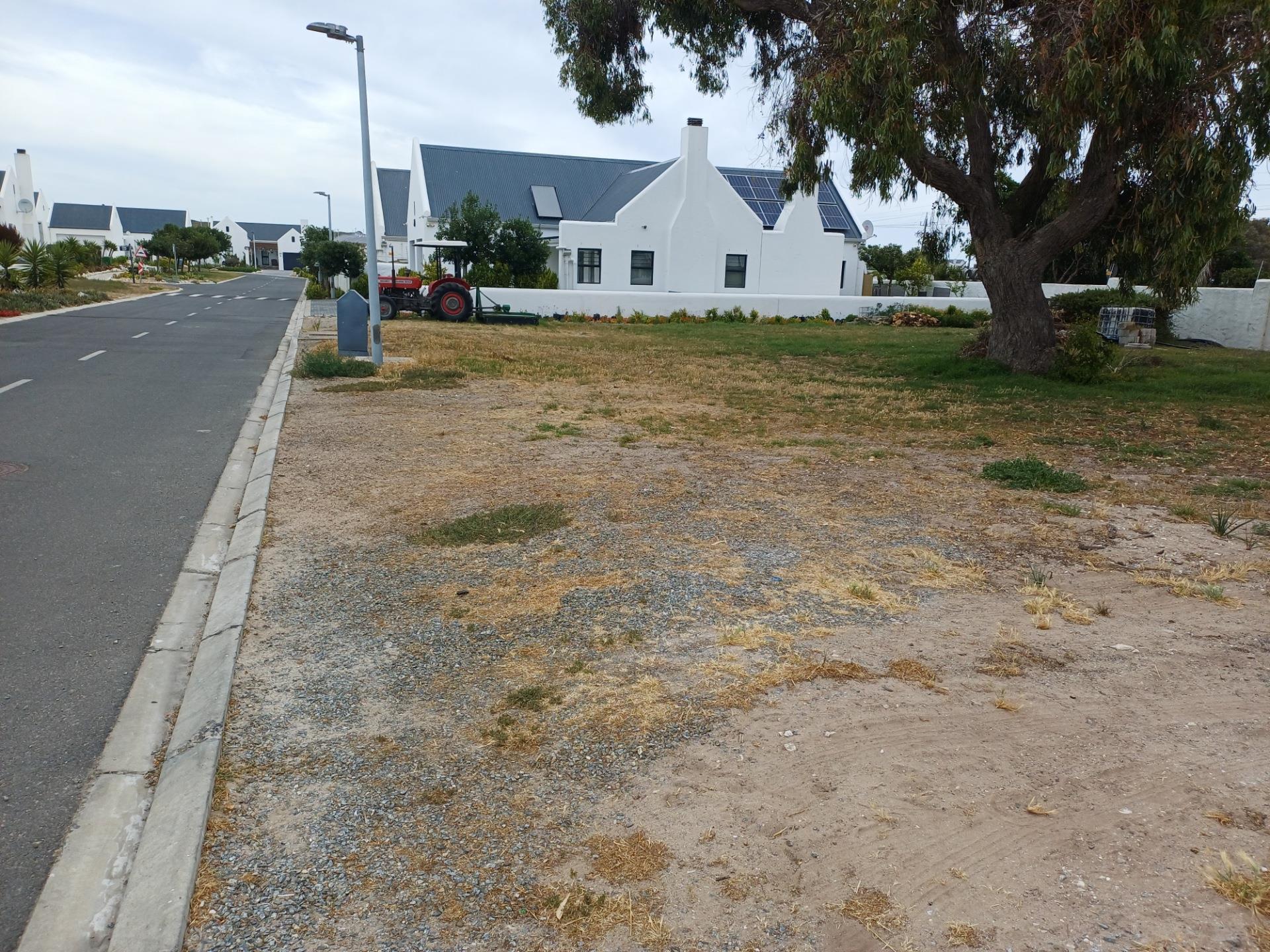 Image 12