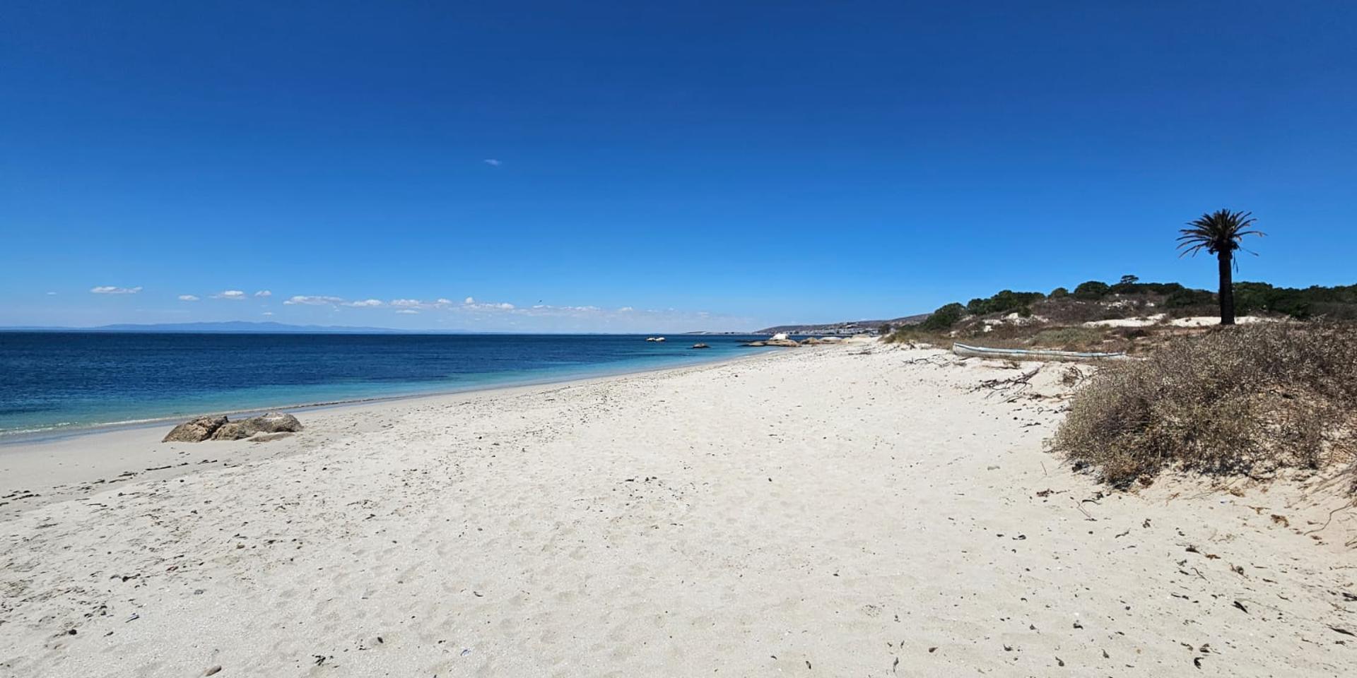 Image 5 of 6