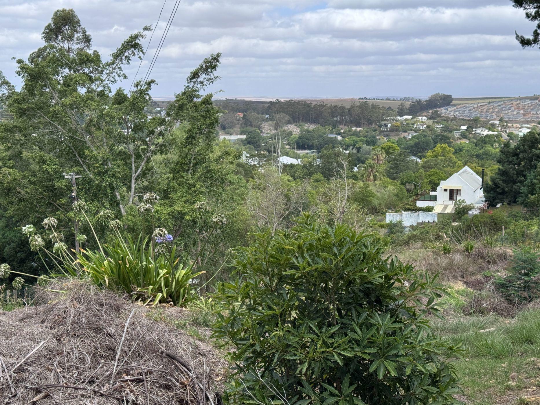 Image 42