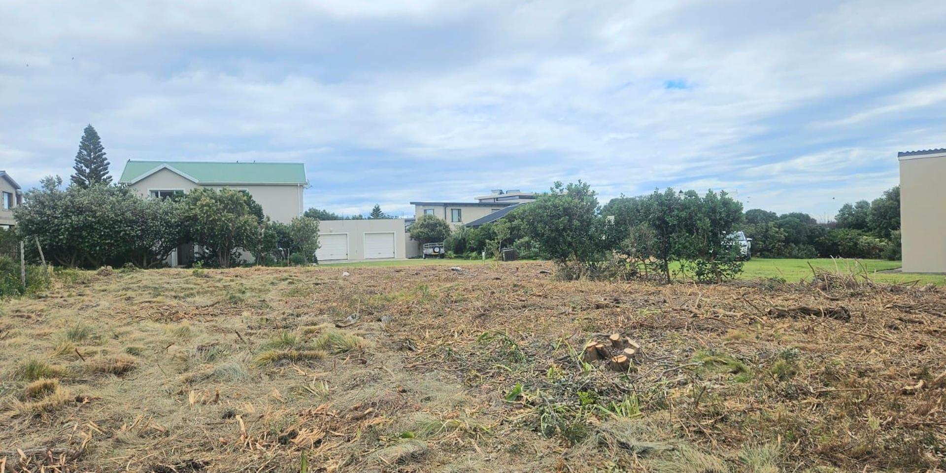 Image 5 of 6