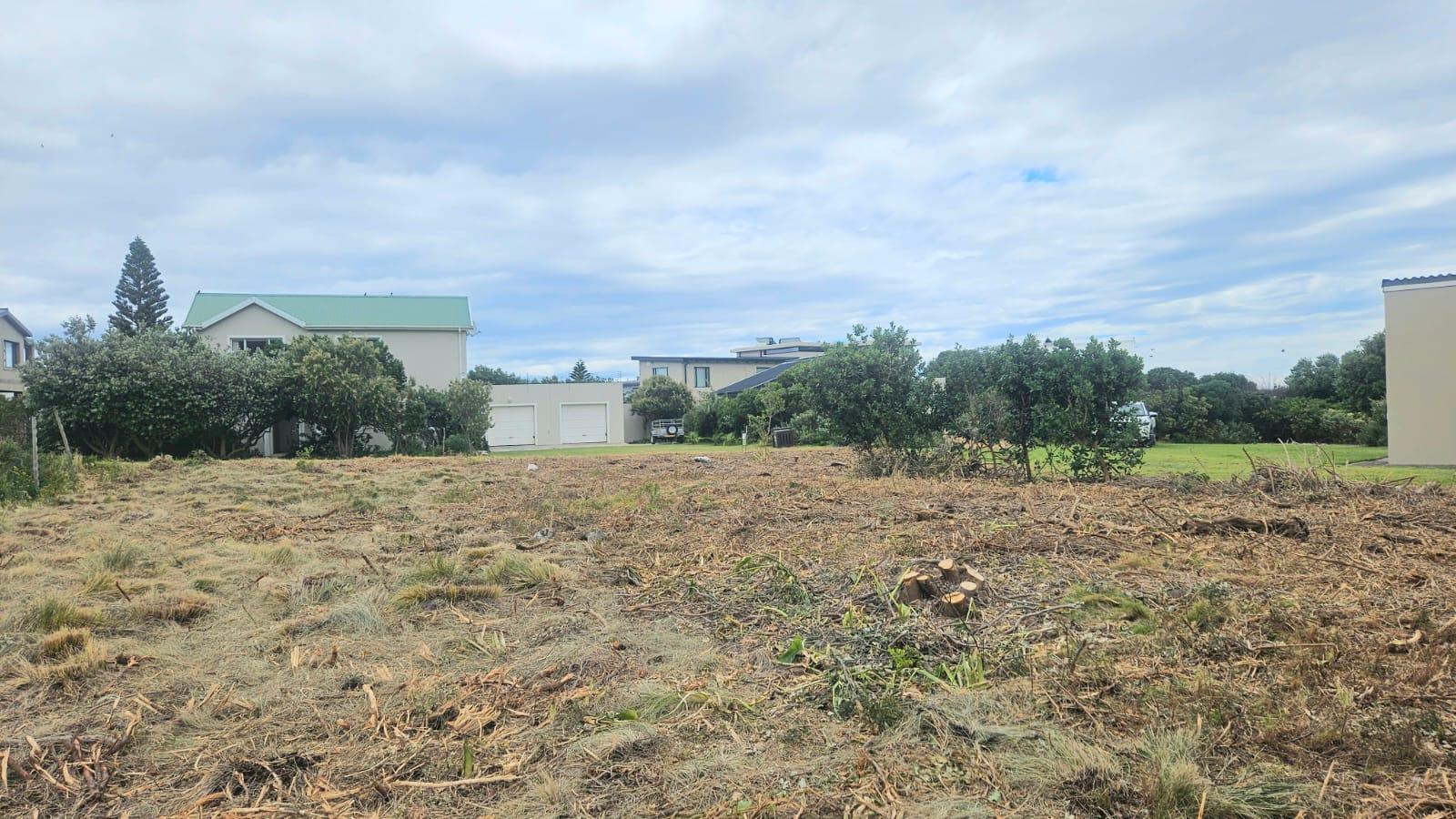 Image 5 of 6