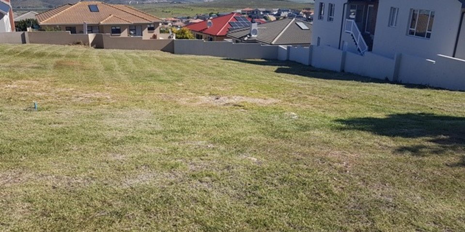 Image 4 of 6