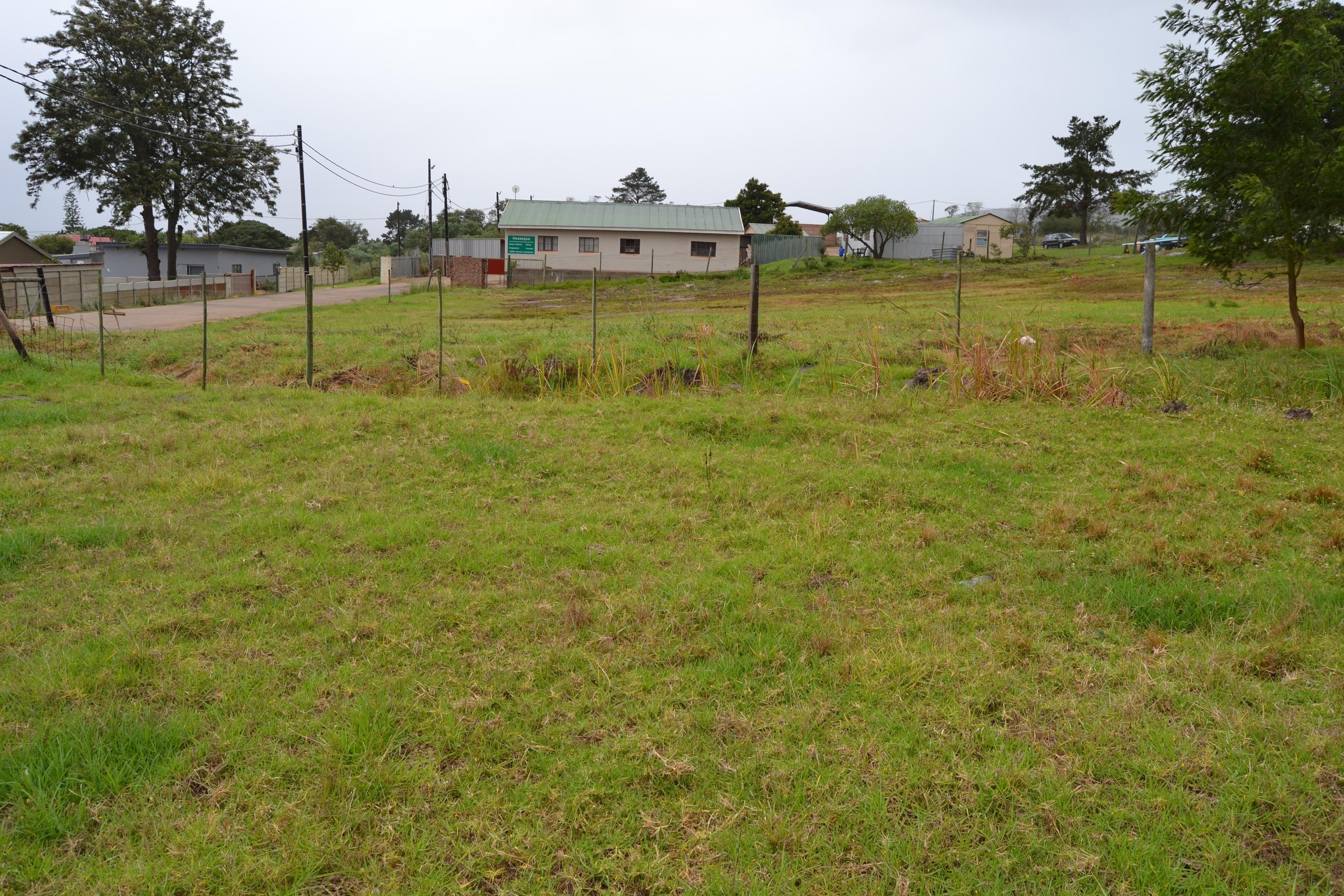 Image 13