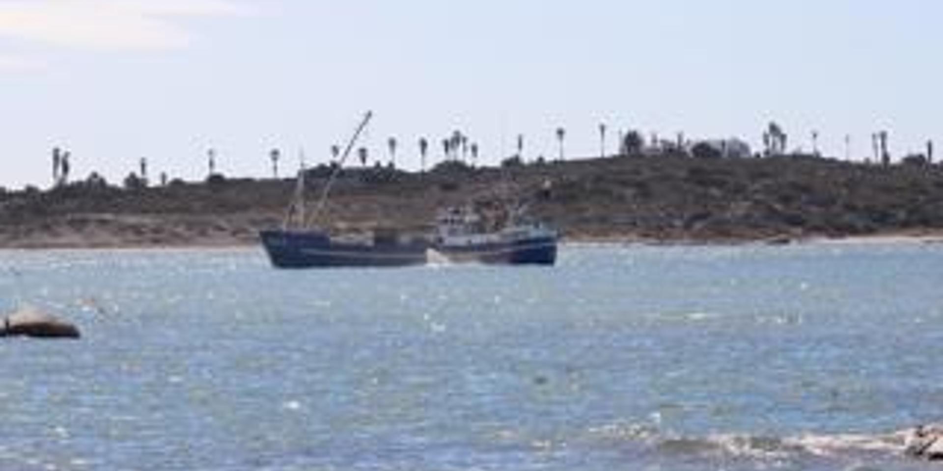 Image 4 of 6