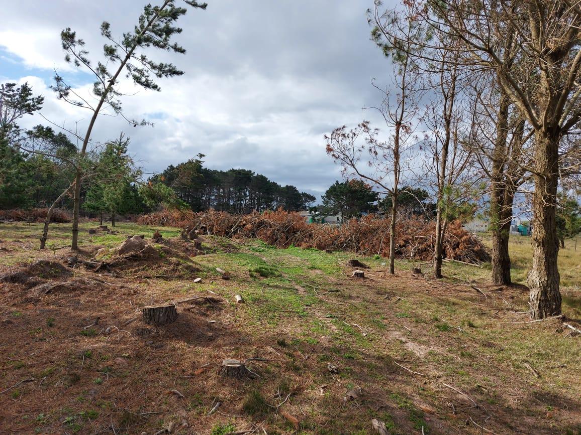 Image 12