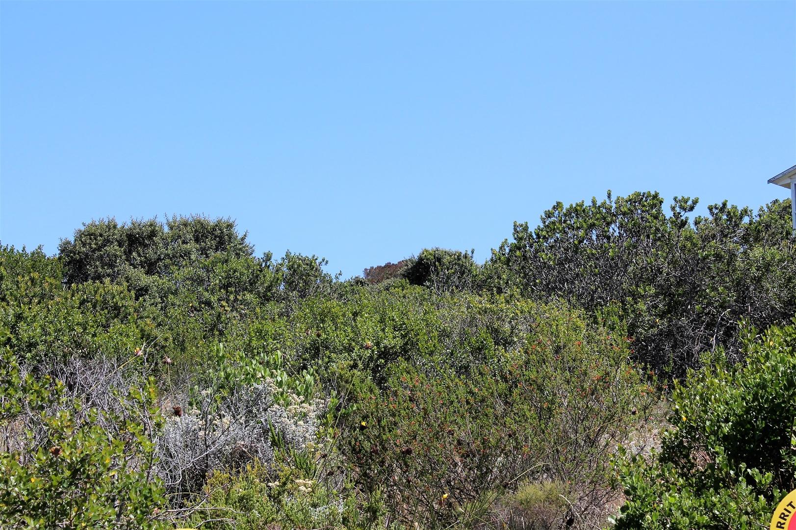 Image 5 of 6