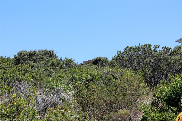 Main property image