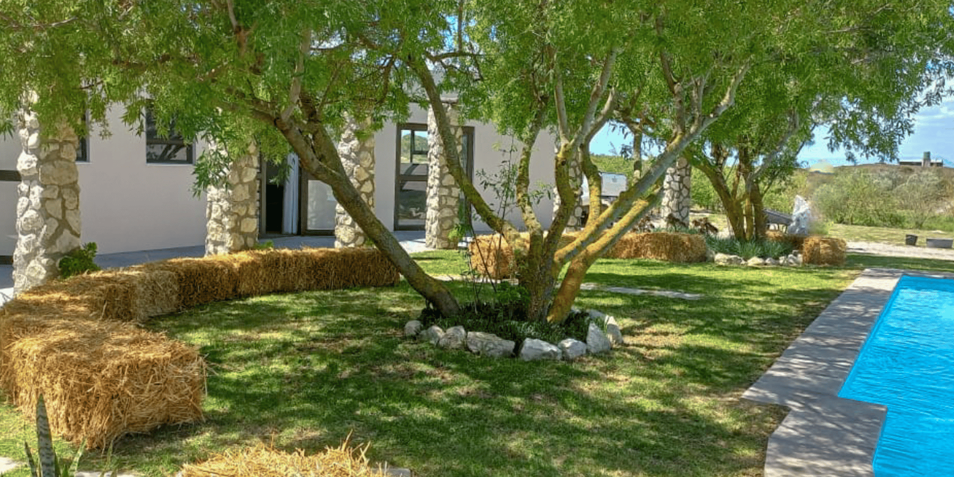 Image 2 of 6