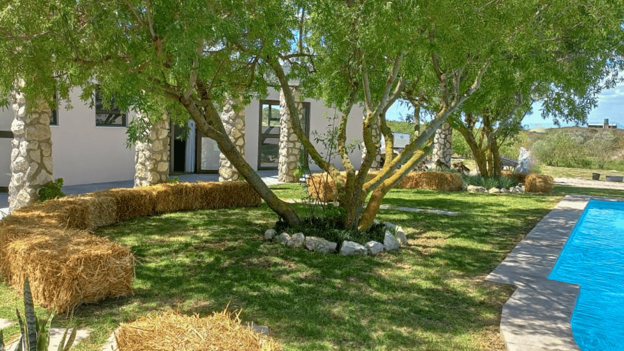 Image 2 of 6