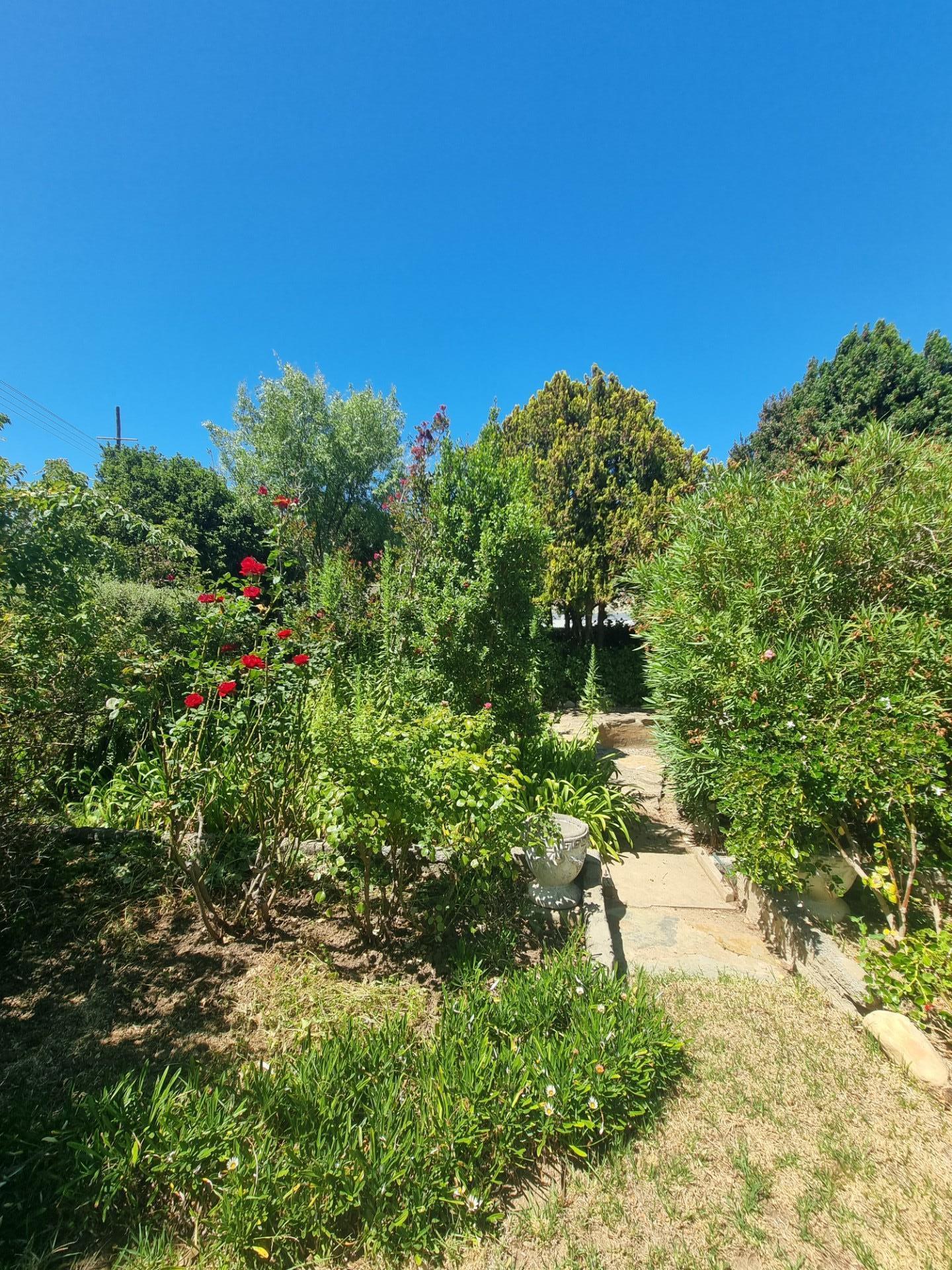 Image 27