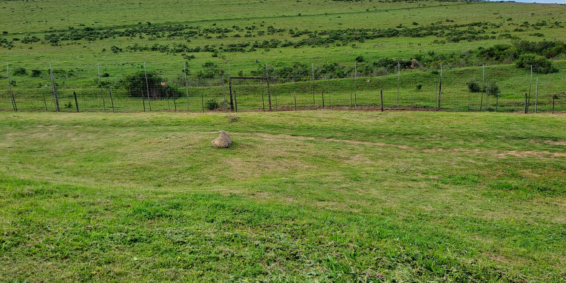 Image 4 of 6