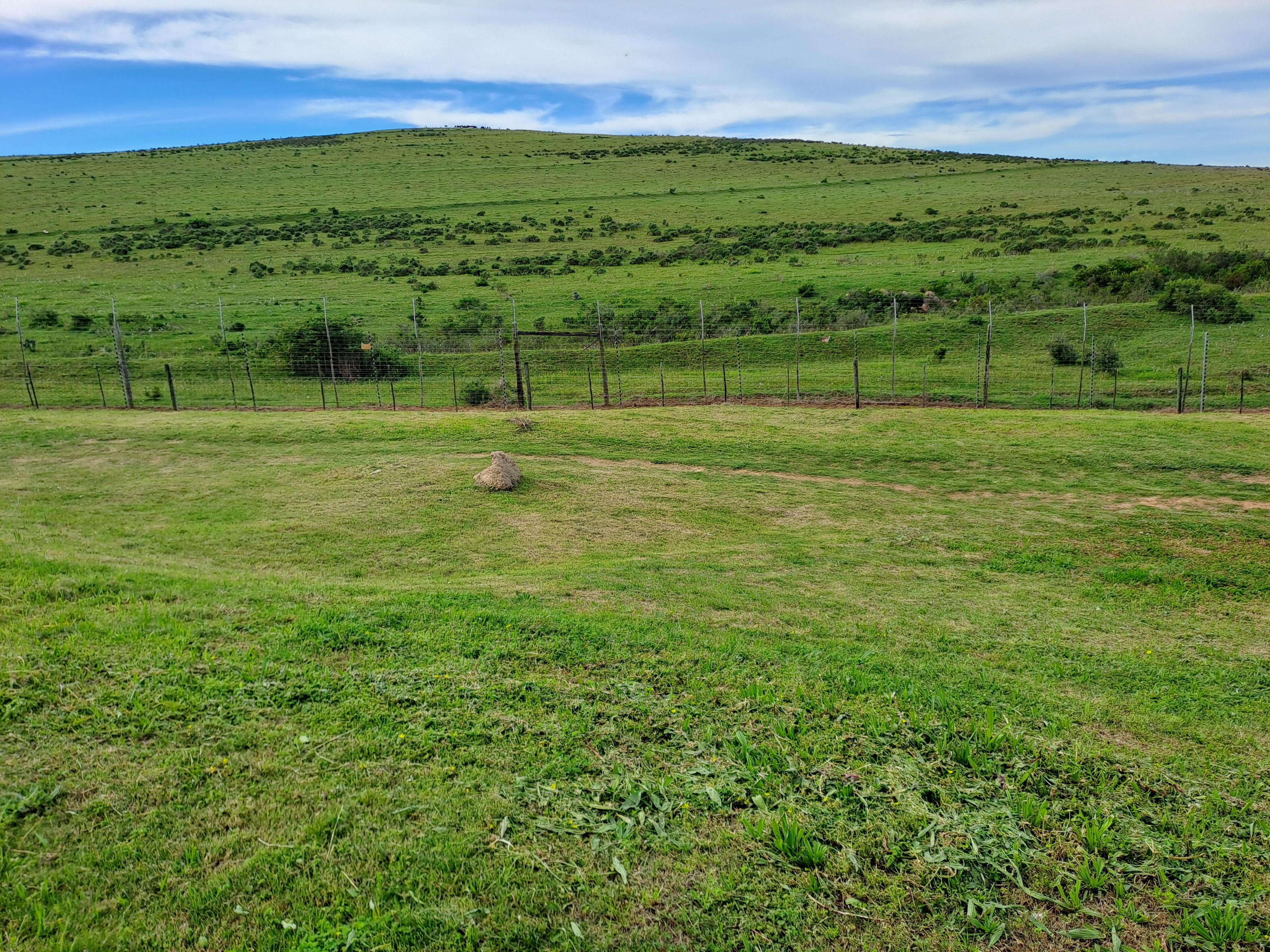 Image 5 of 6
