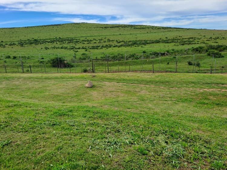 Main property image