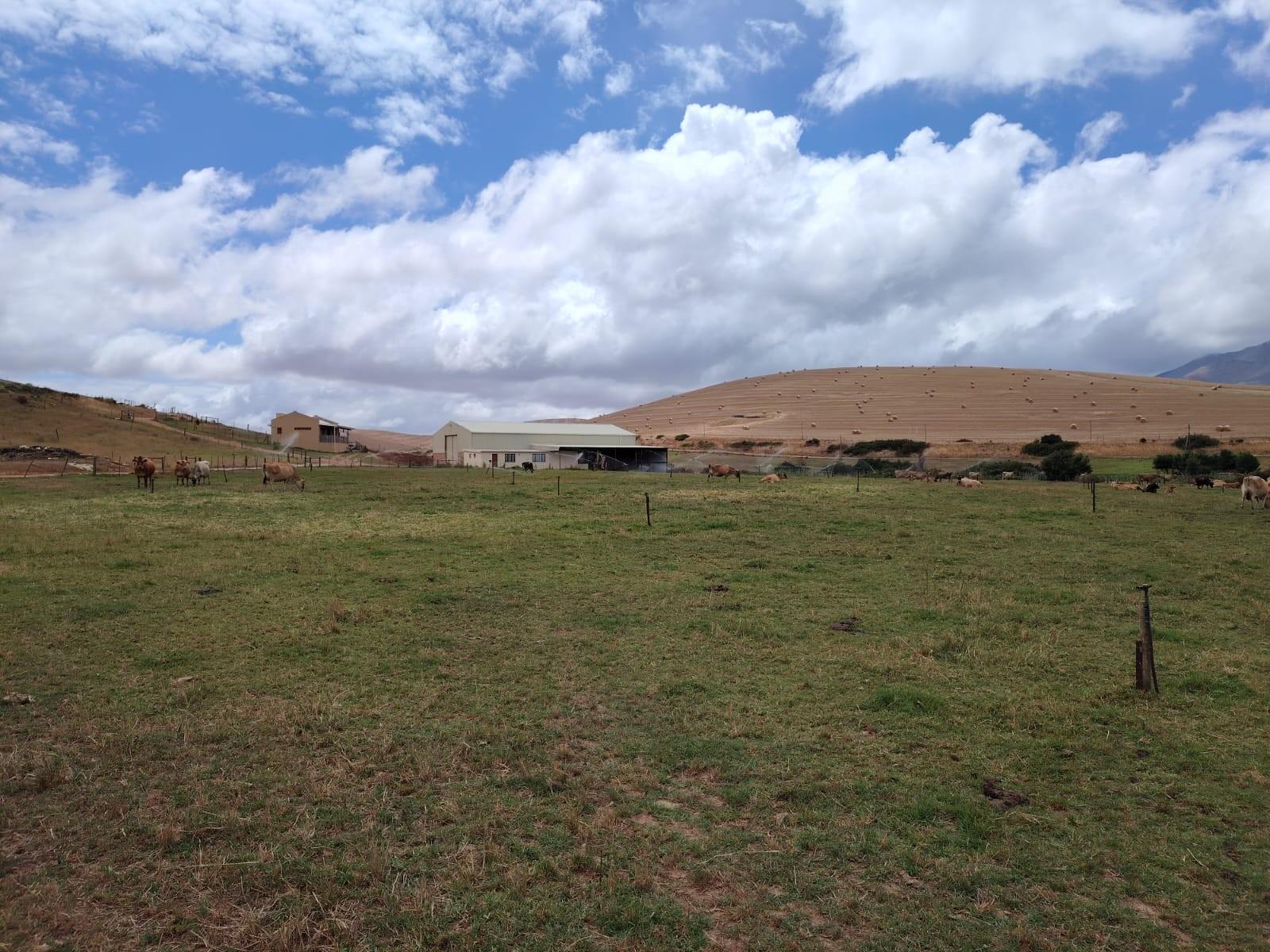 Image 2 of 6