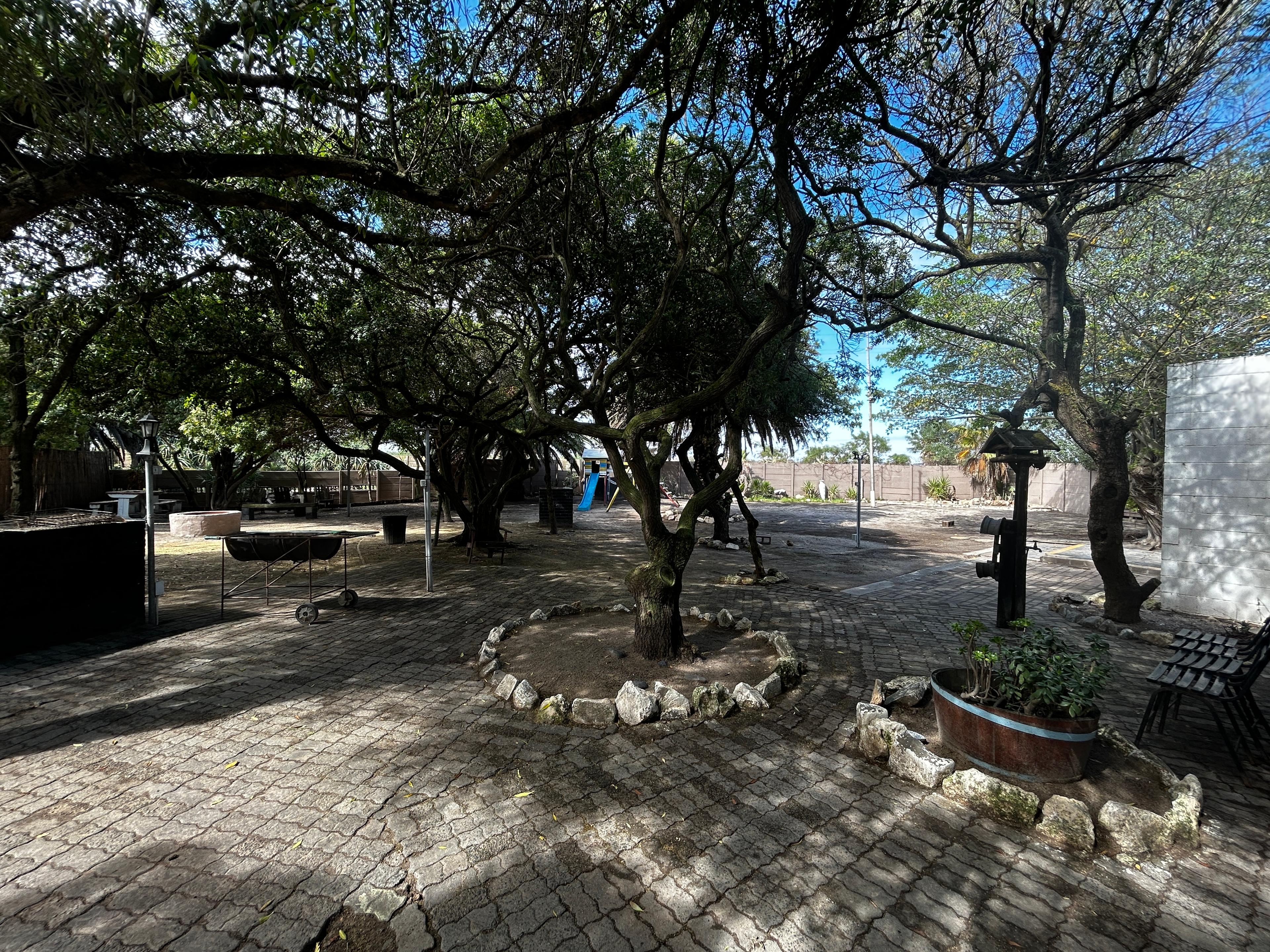 Image 13