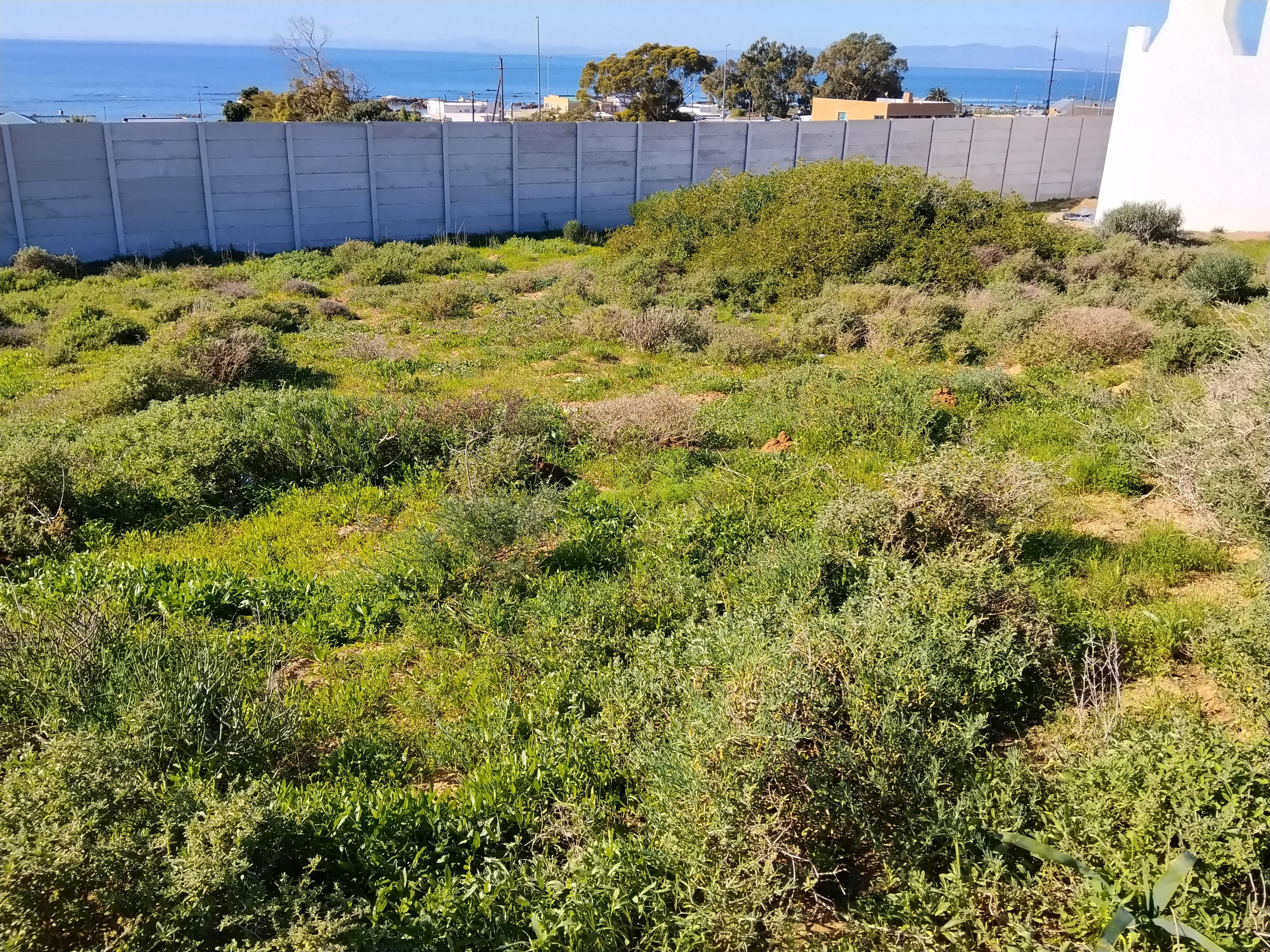 Image 4 of 6