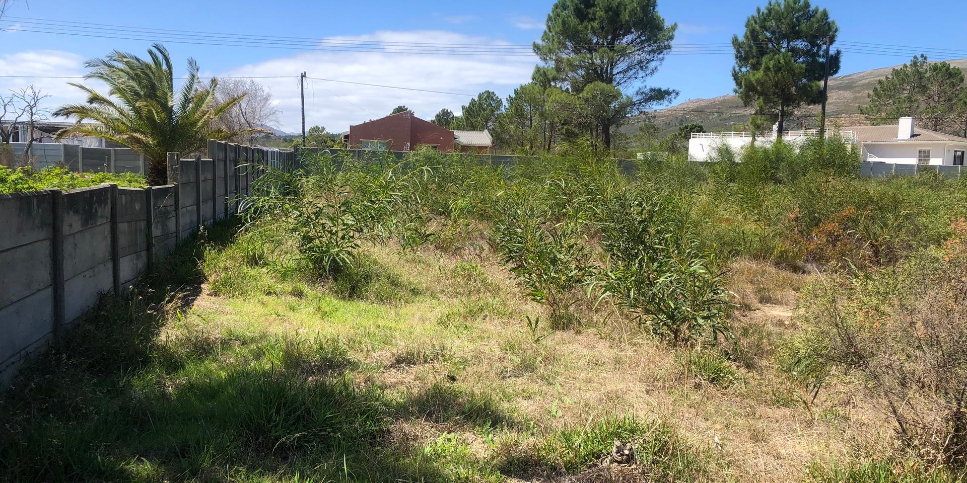 Image 3 of 6