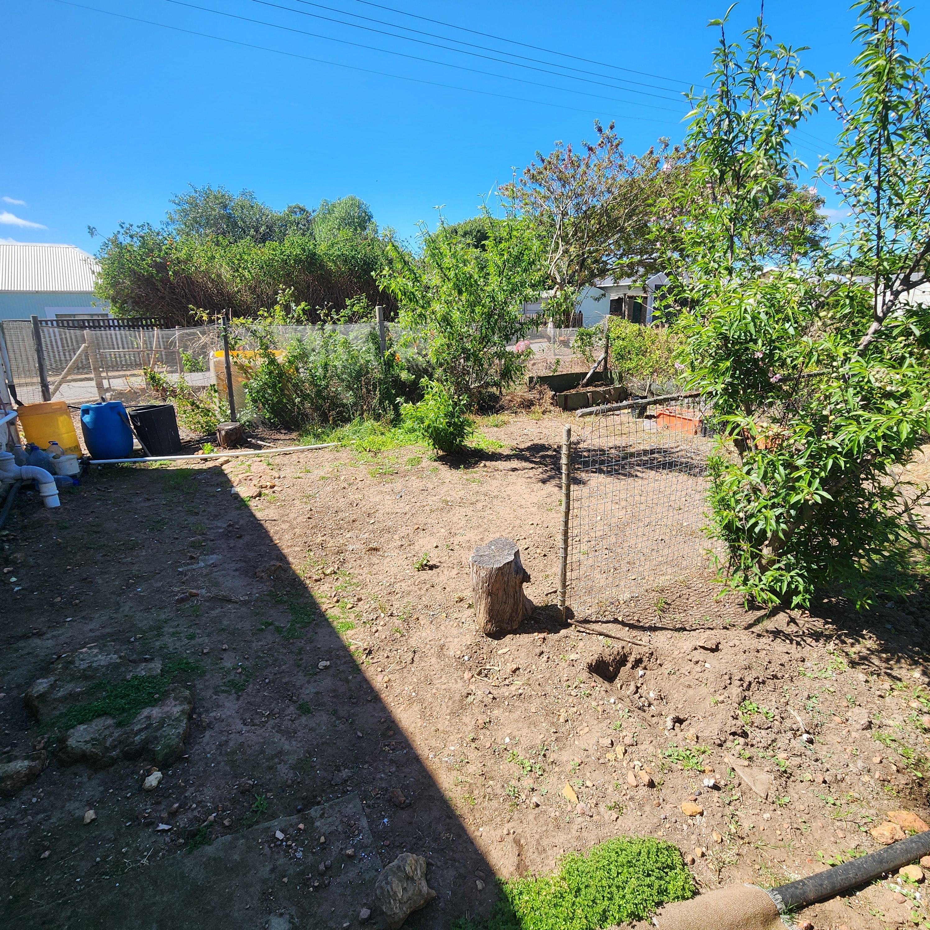 Image 14