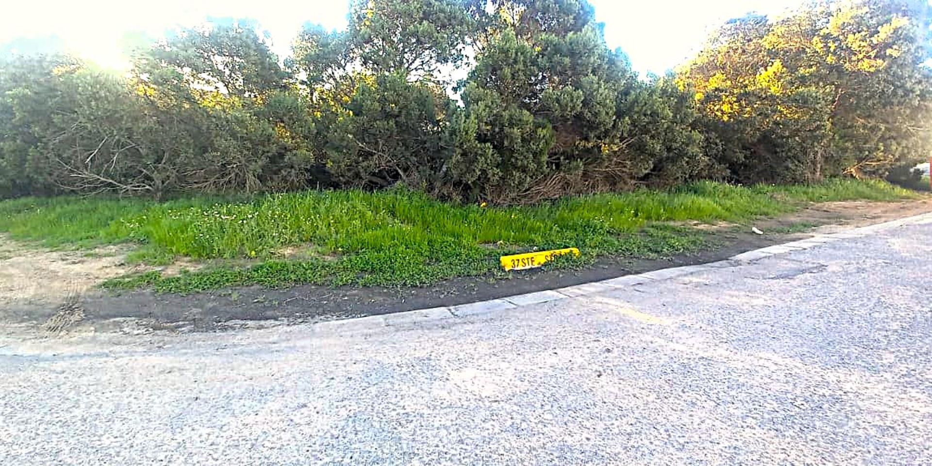 Image 4 of 6