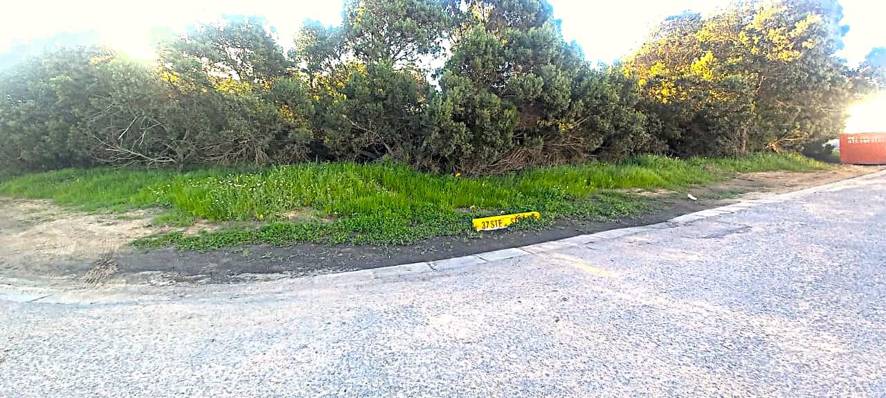 Image 4 of 6