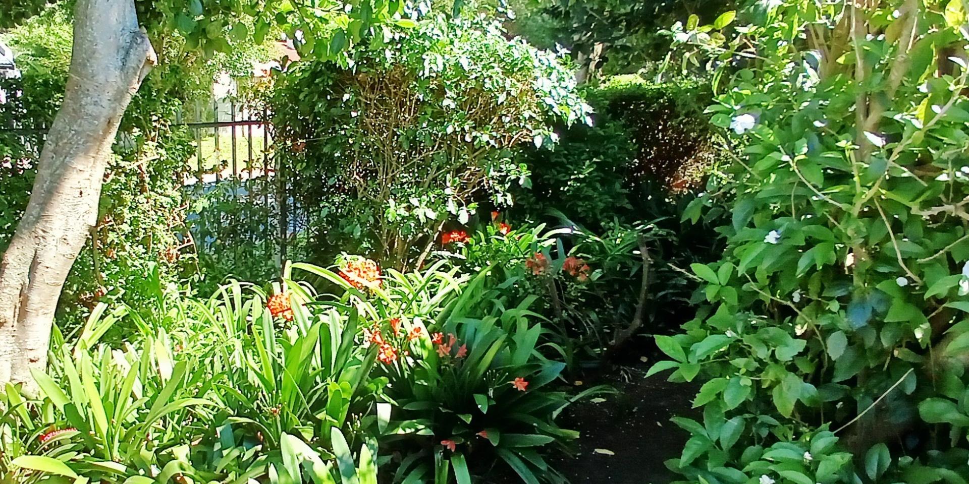 Image 2 of 6