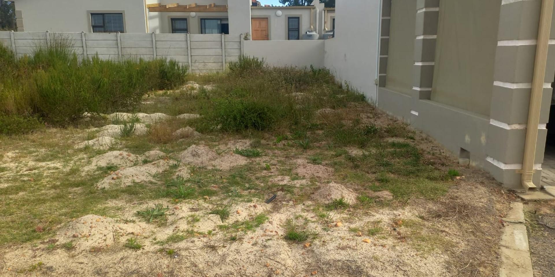 Image 5 of 6