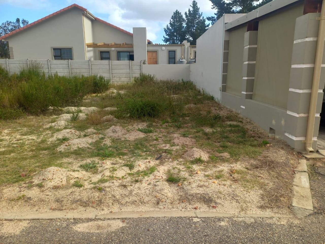 Image 5 of 6