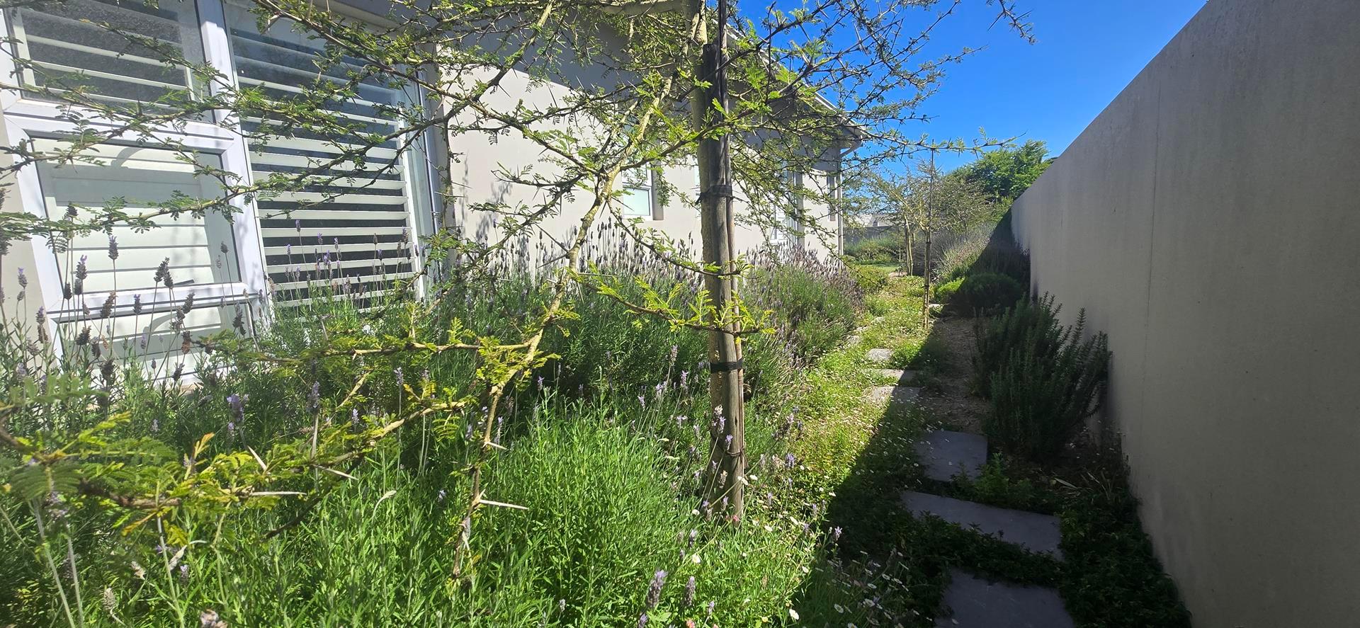Image 50