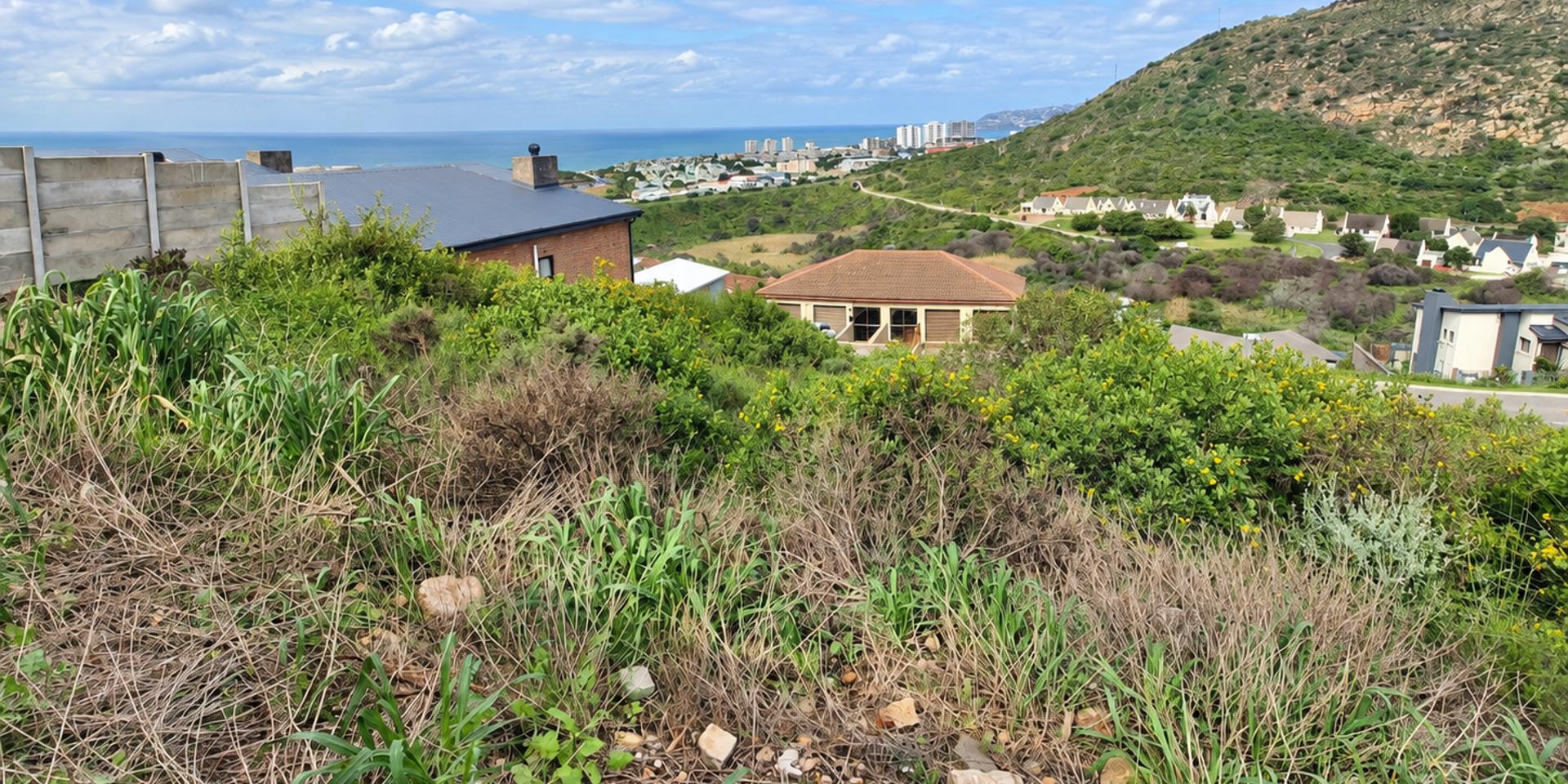 Image 4 of 6