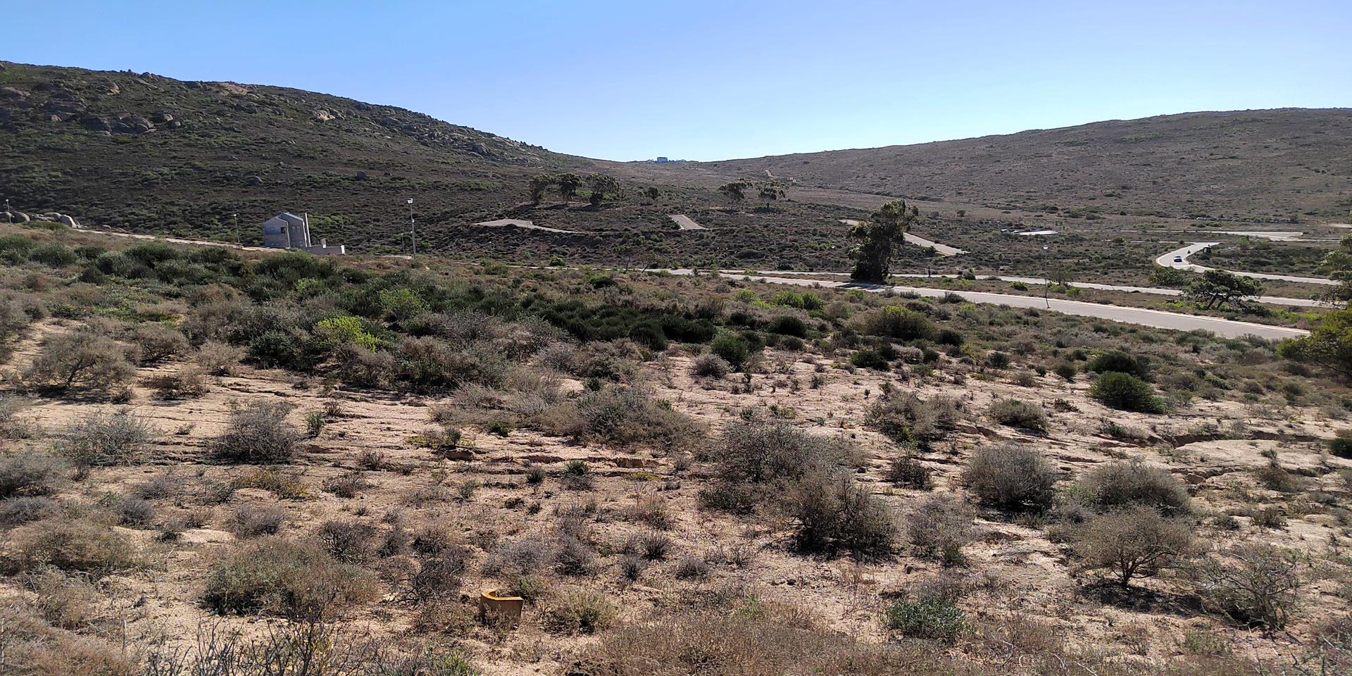 Image 3 of 6