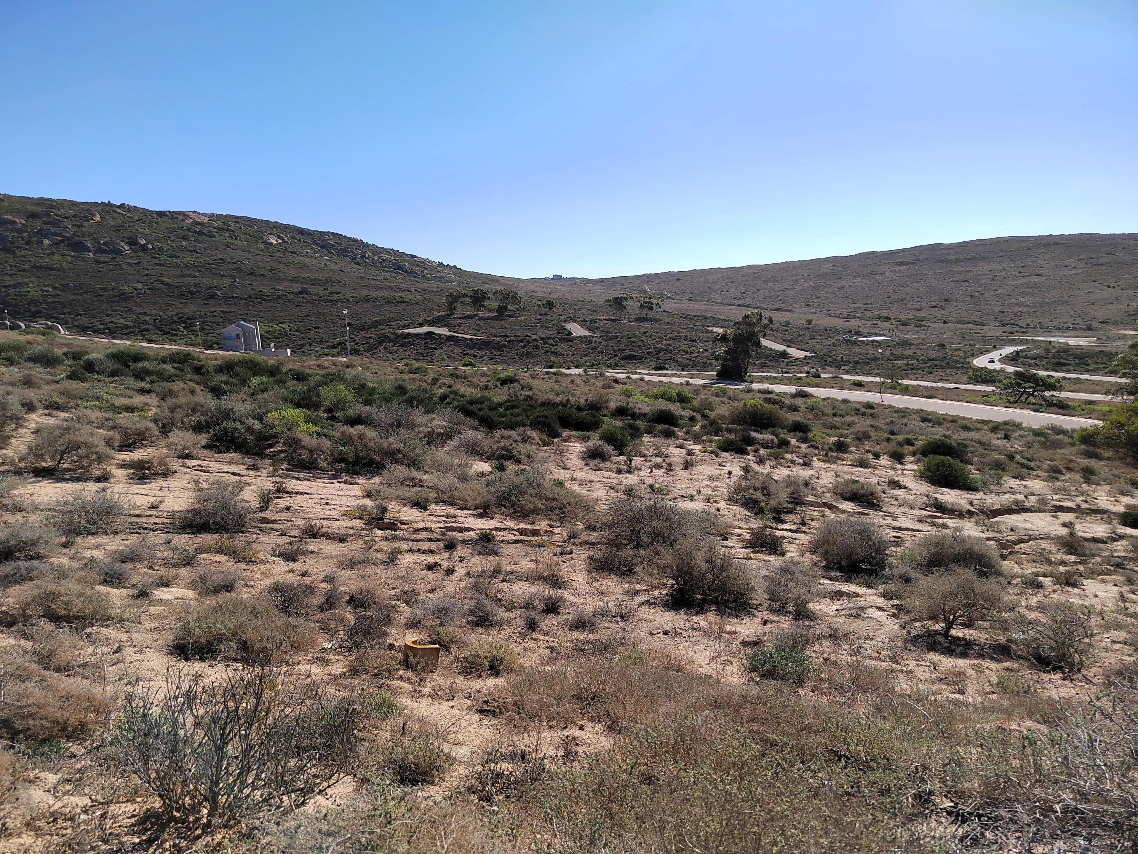 Image 3 of 6
