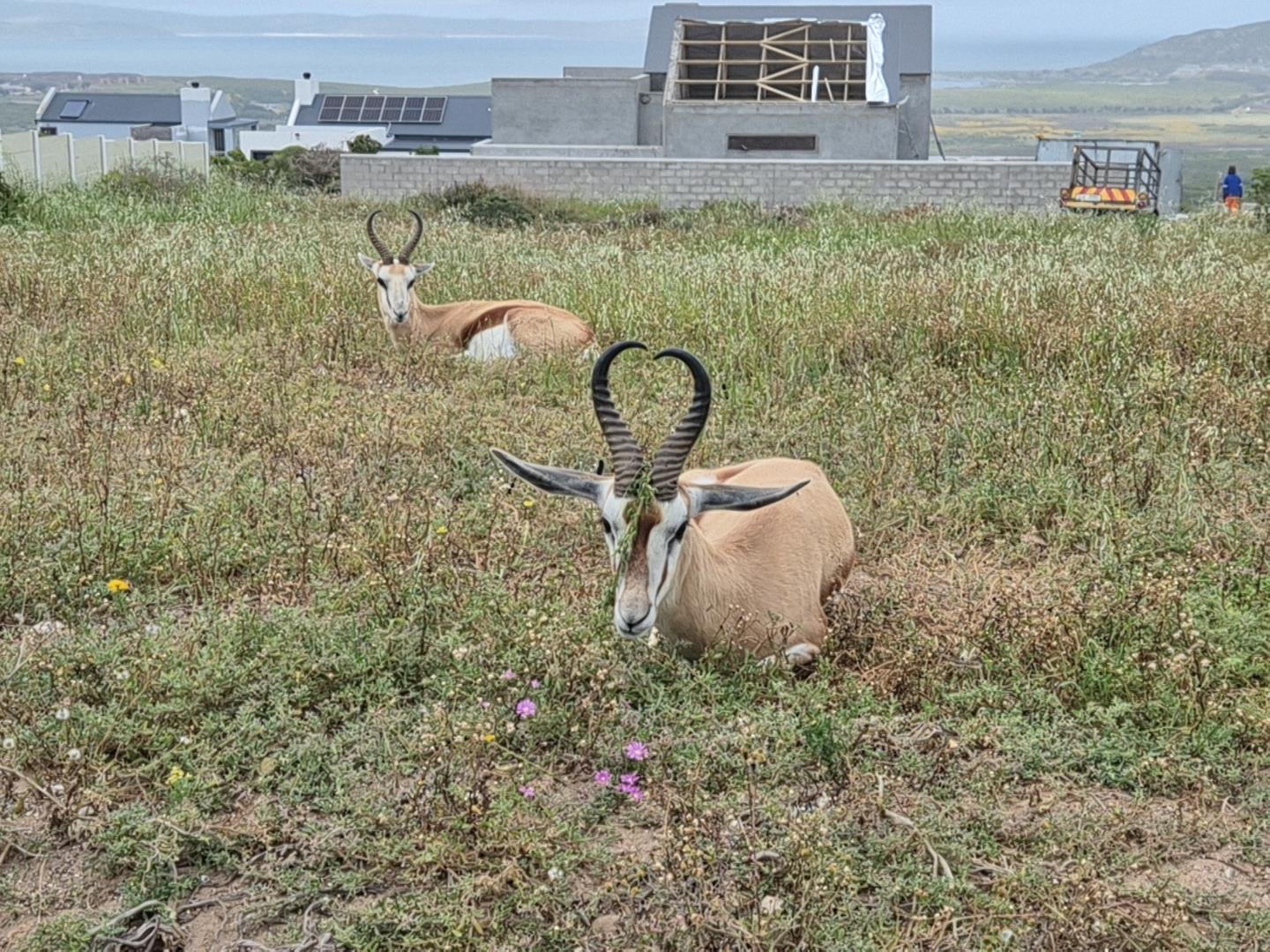 Image 4 of 6